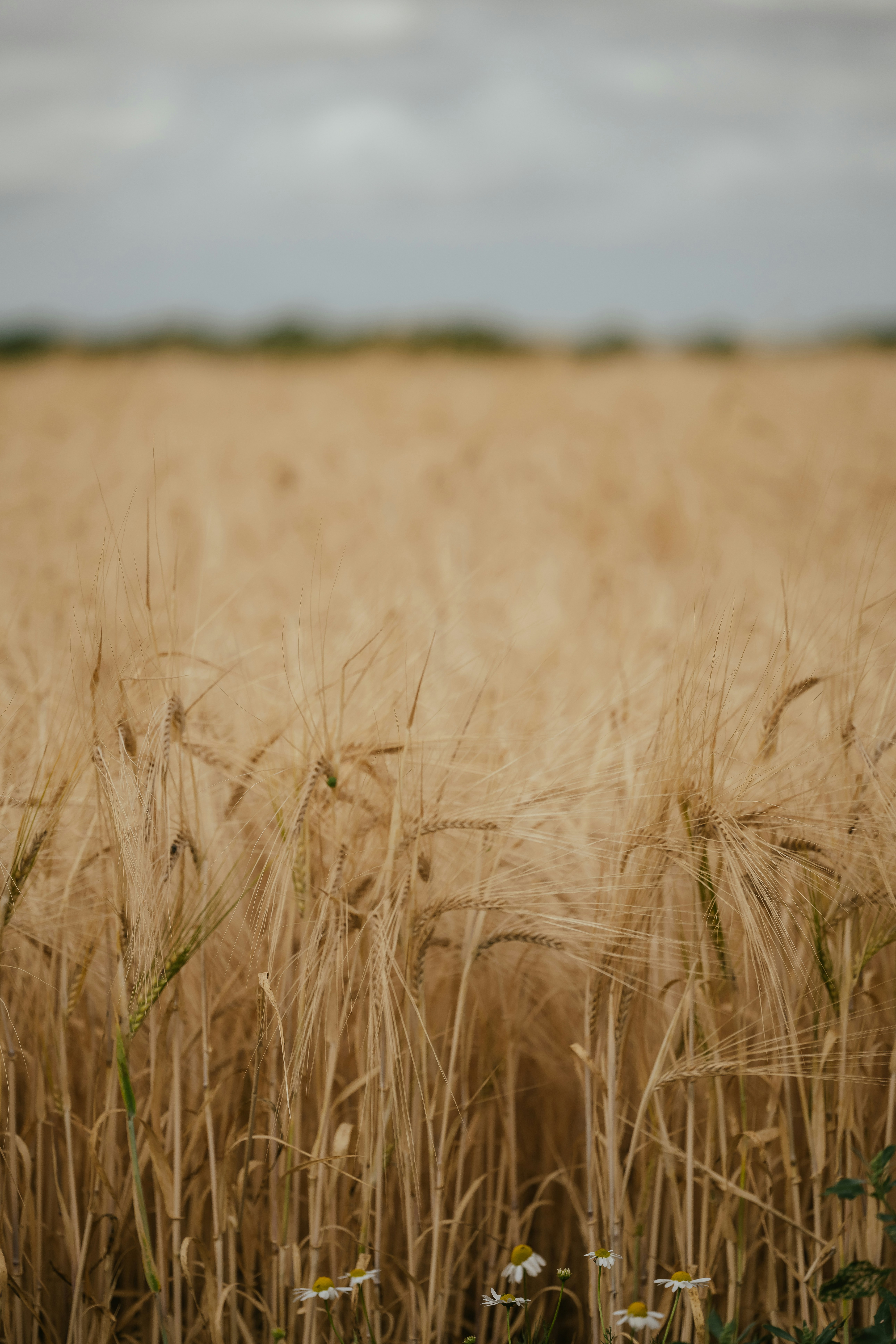 Photo by anniespratt