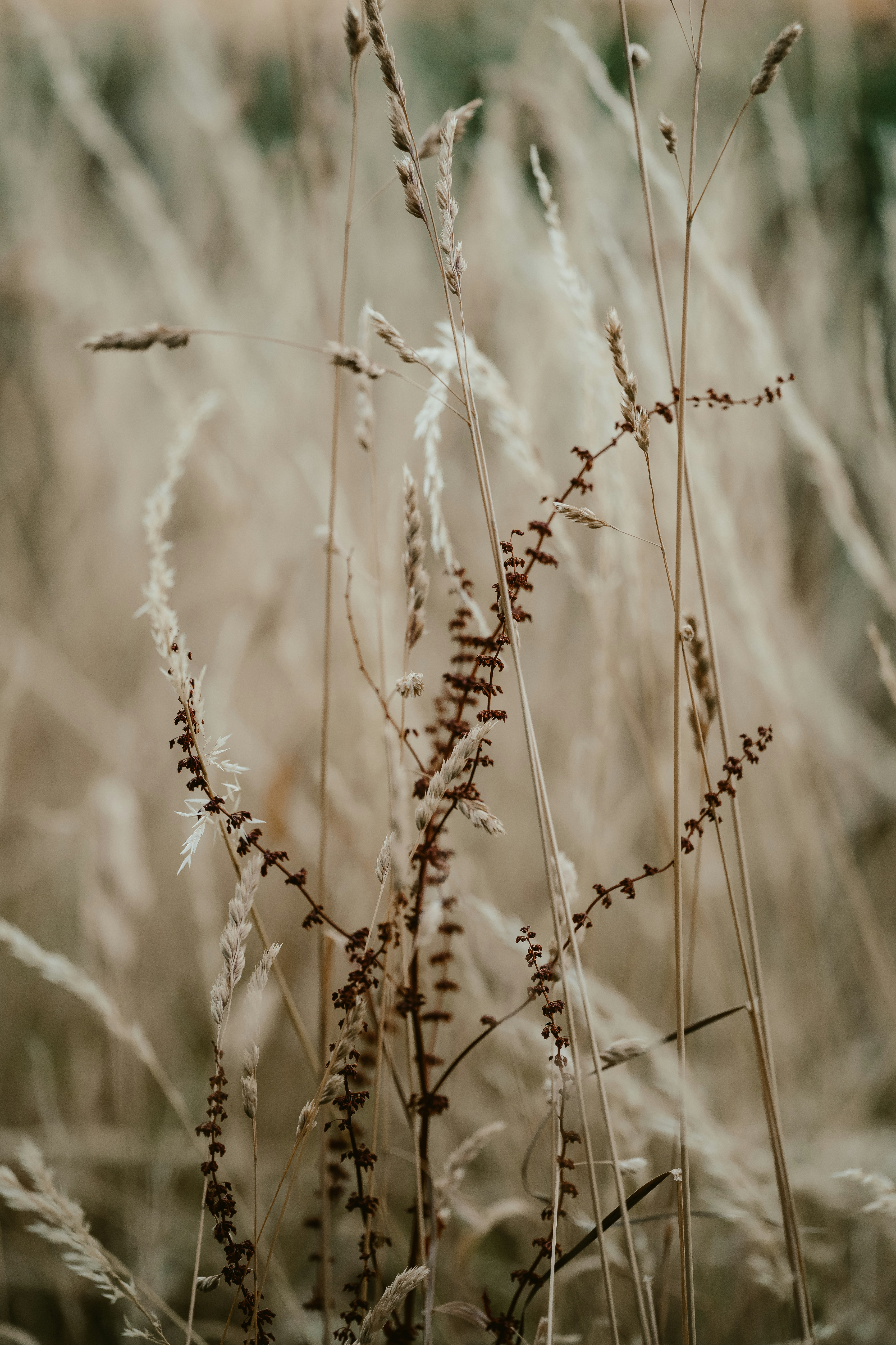 Photo by anniespratt