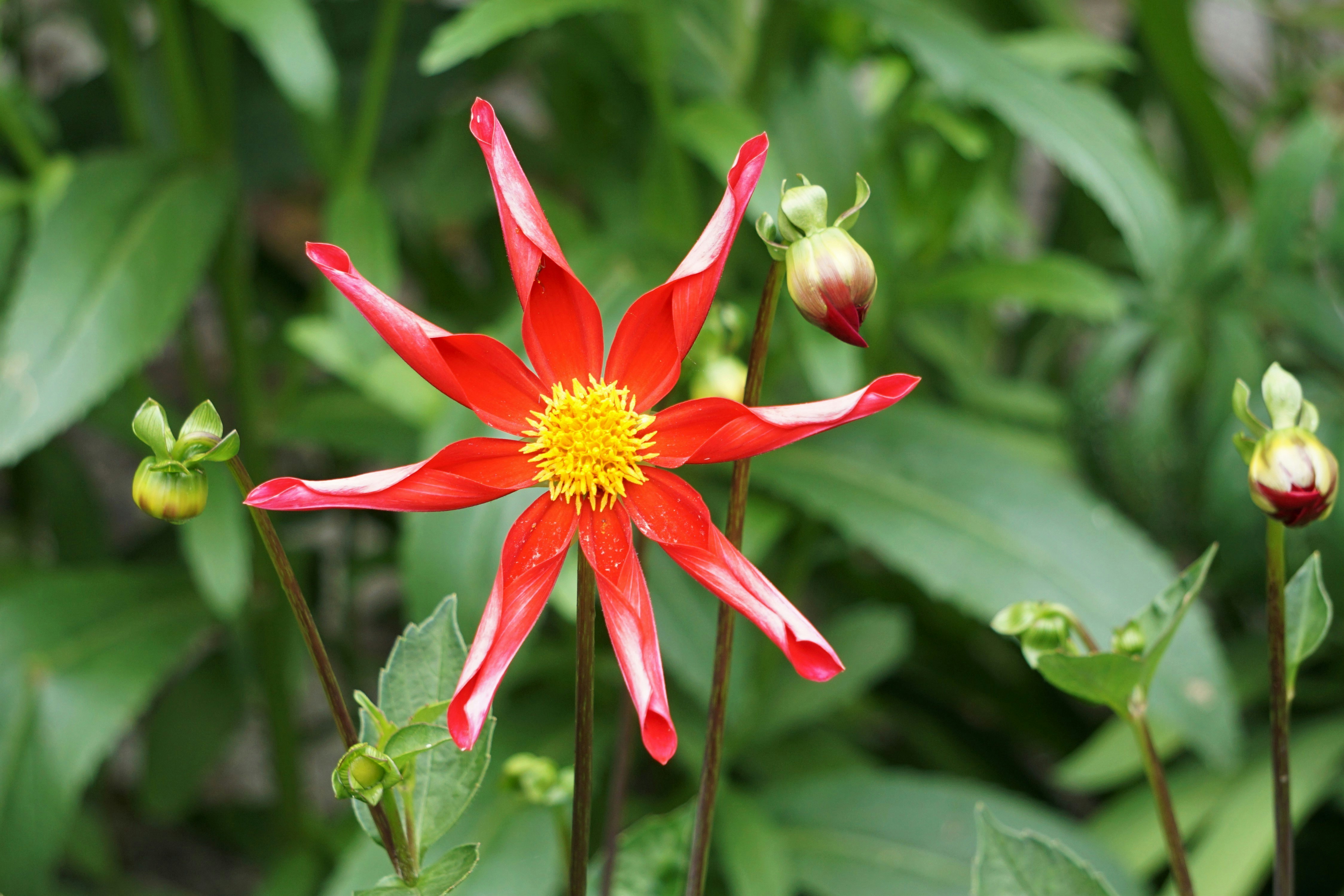 Photo by mostlymarvelling