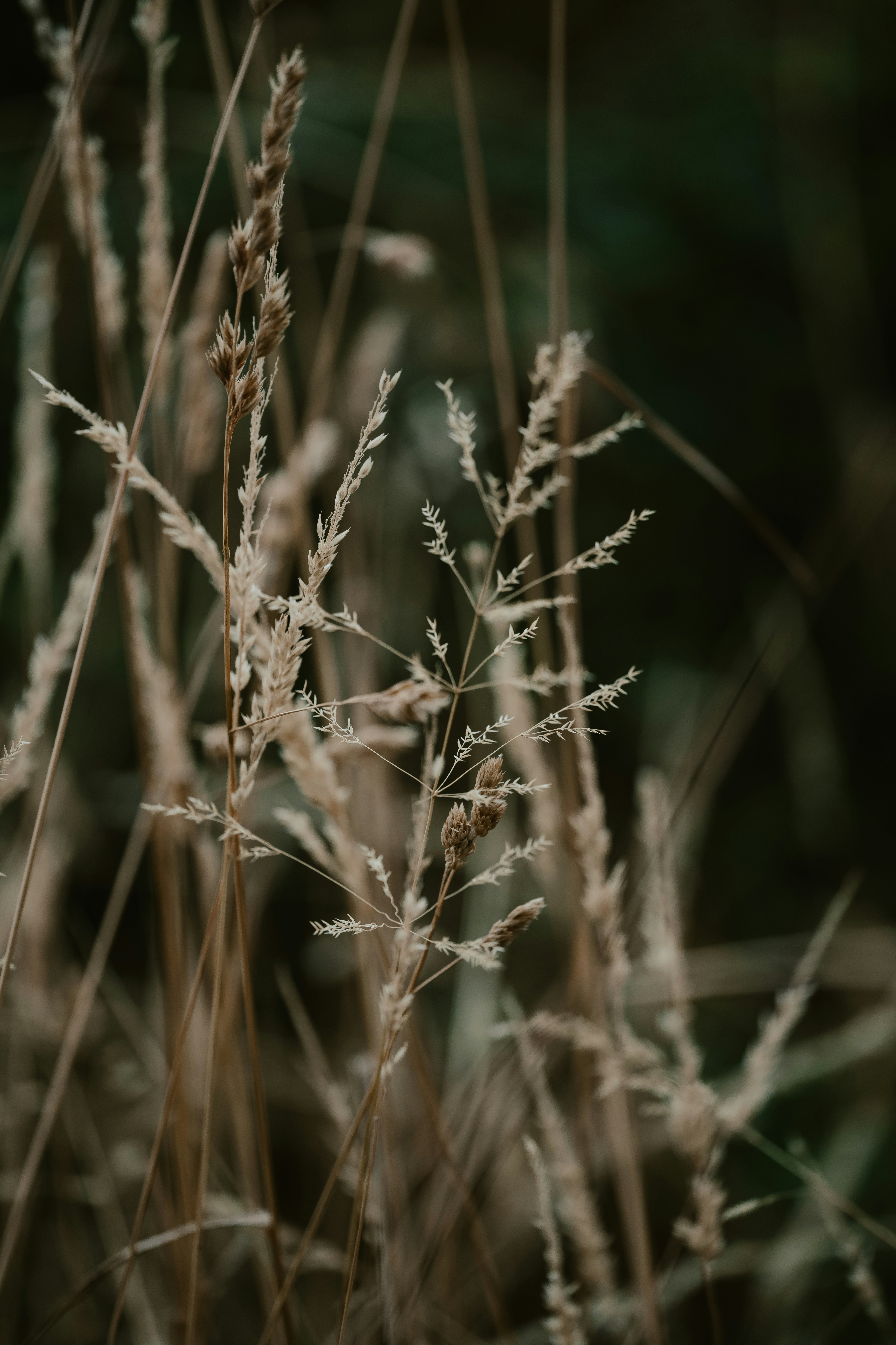 Photo by anniespratt