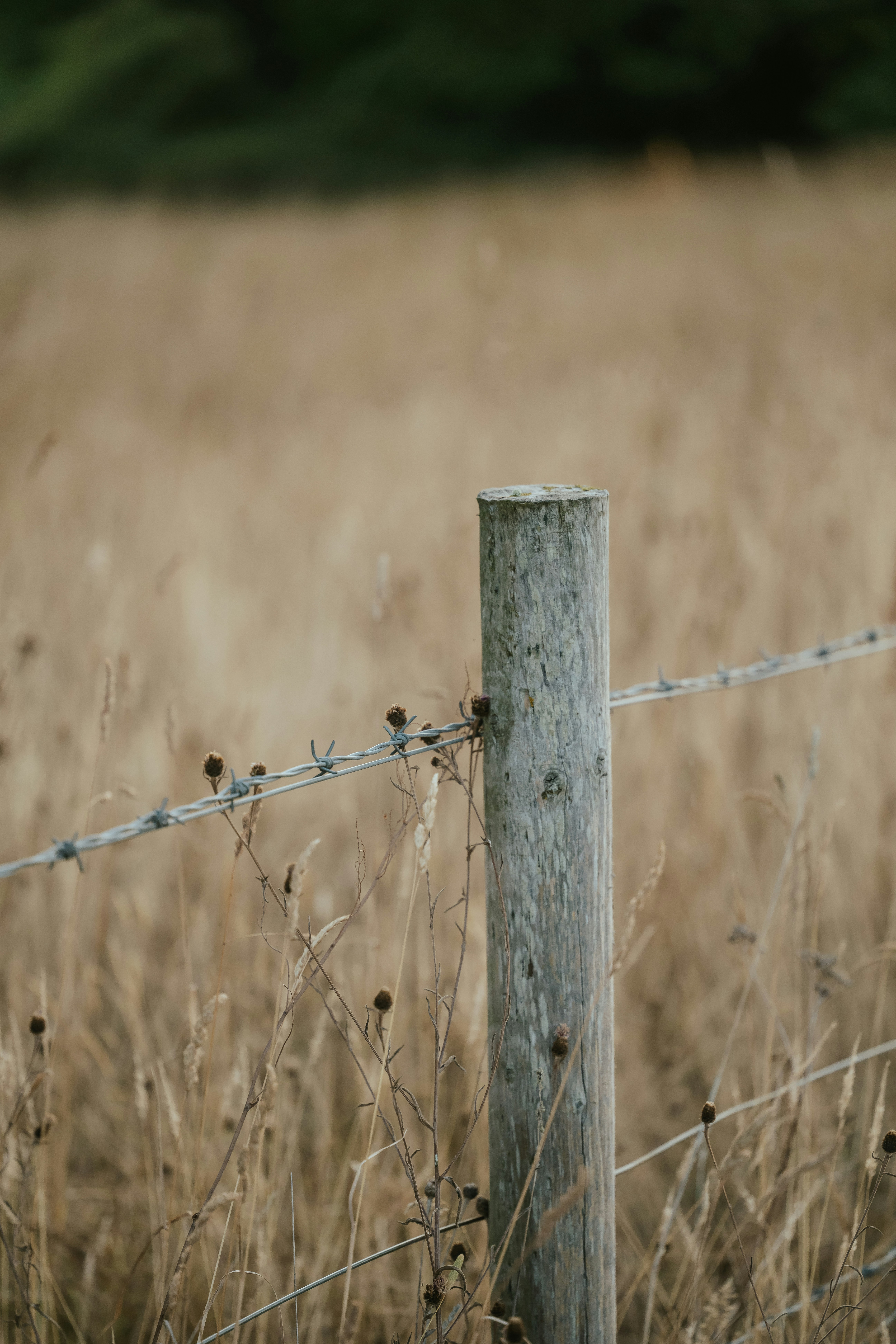 Photo by anniespratt