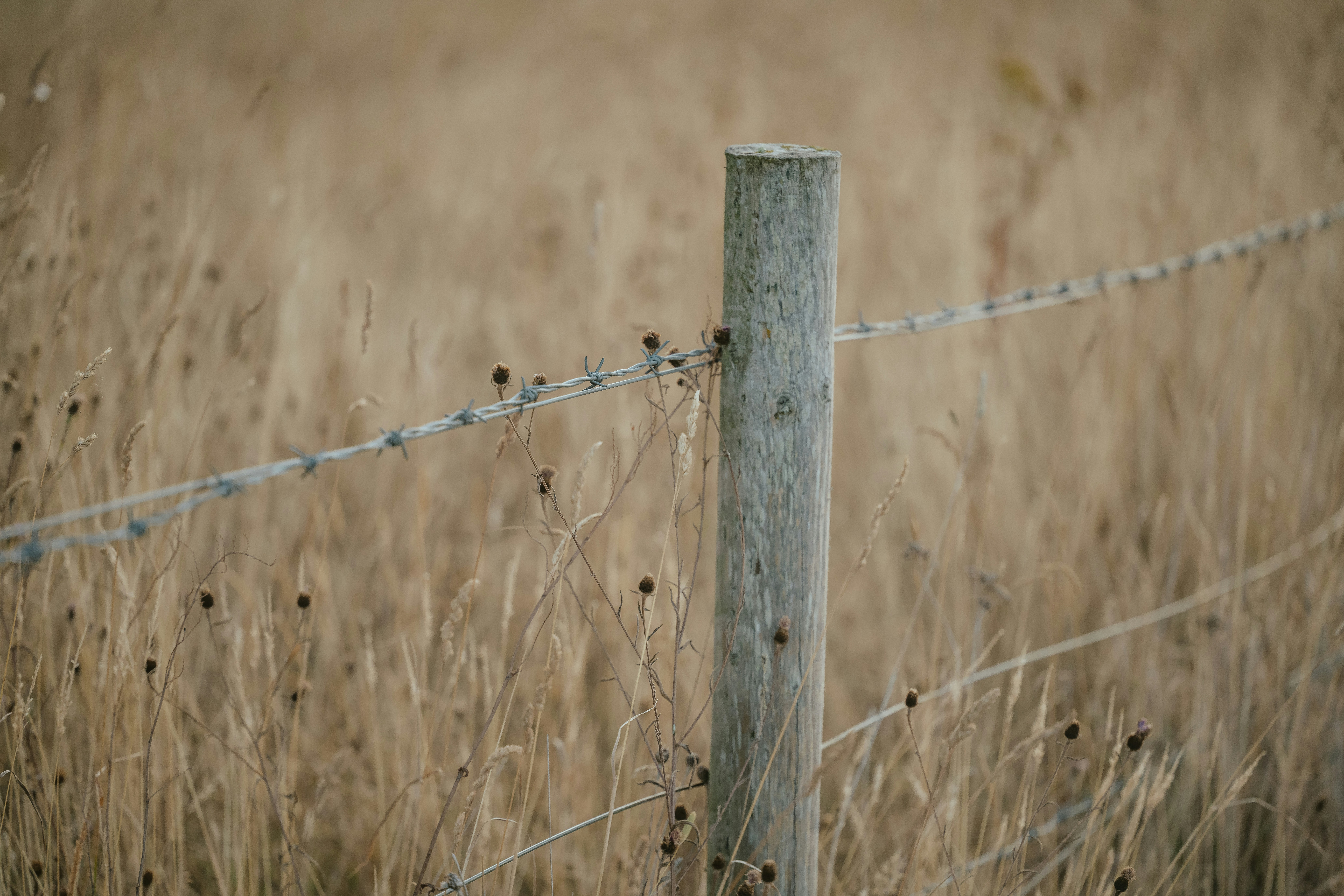 Photo by anniespratt