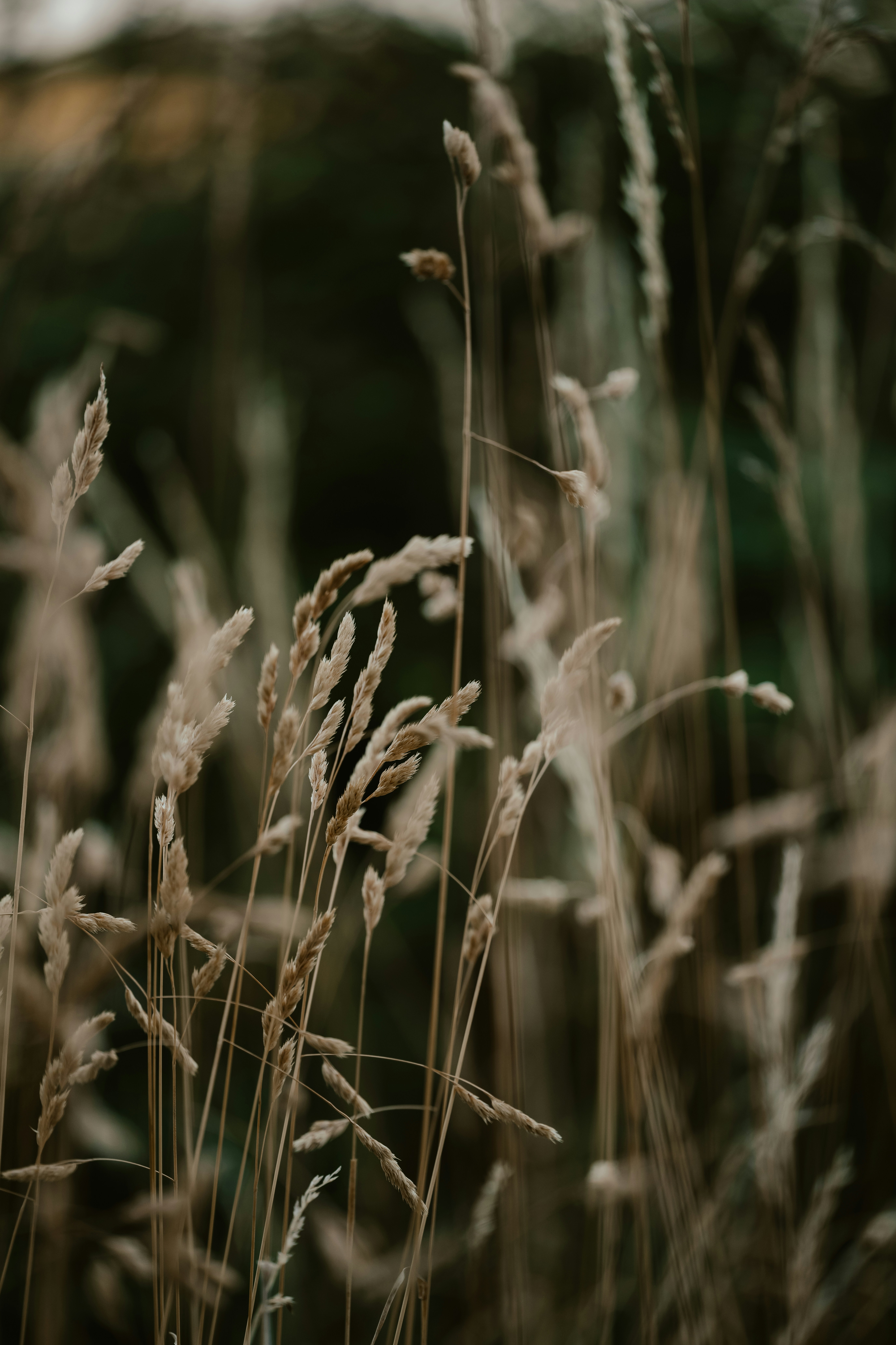 Photo by anniespratt