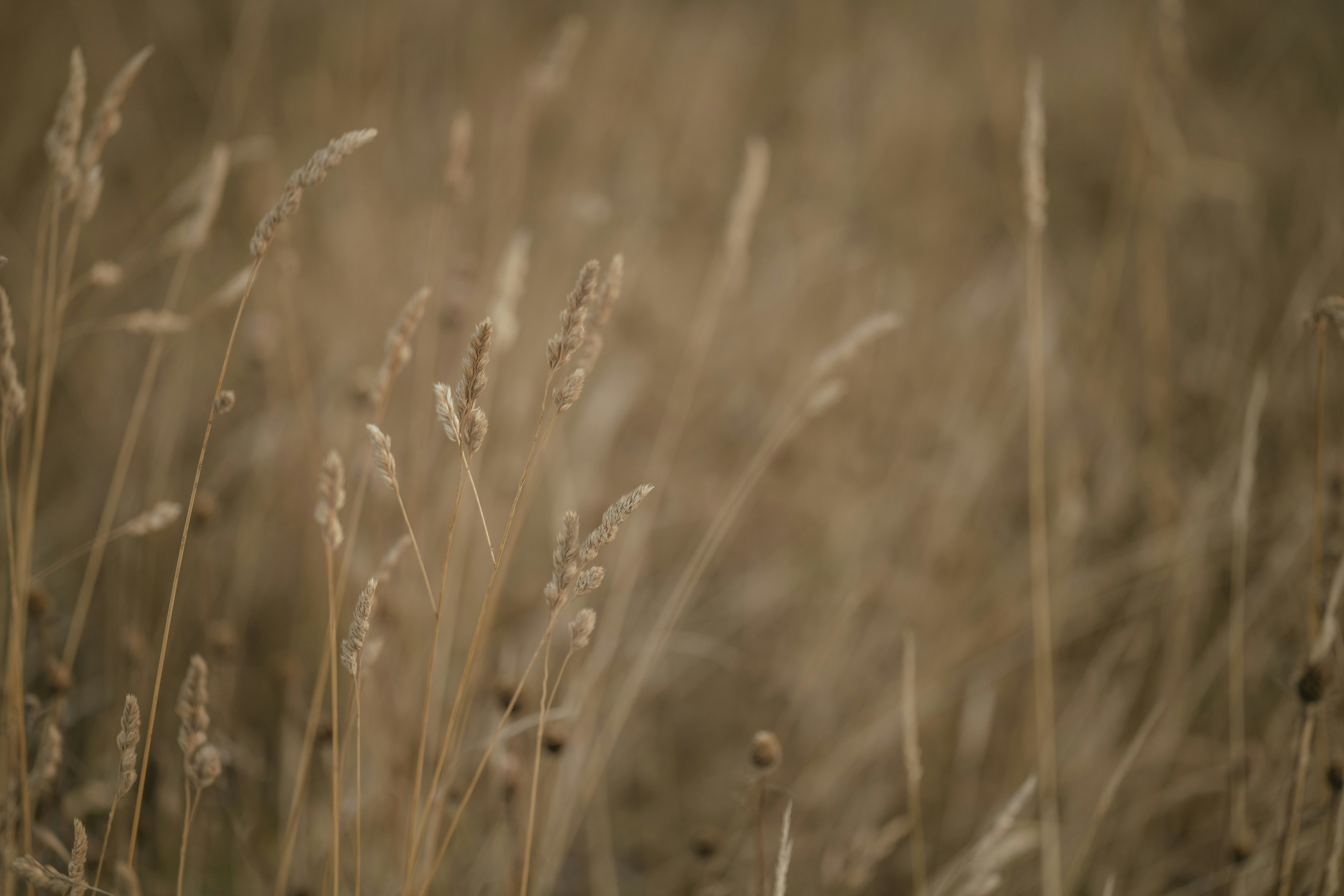 Field Streaming Kits in 2026: Solar Power, Micro‑LEDs and Edge Capture Strategies That Actually Work