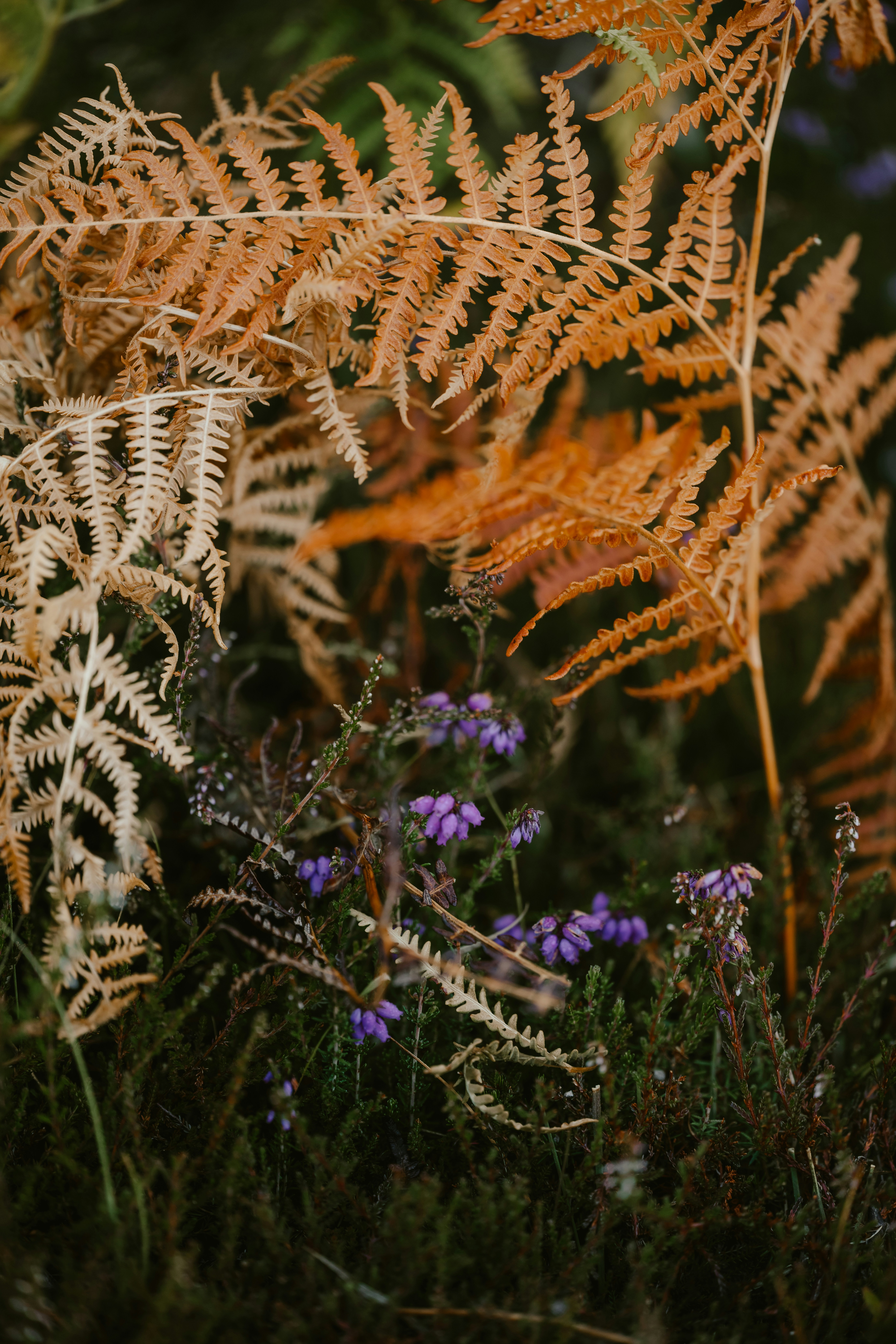 Photo by anniespratt