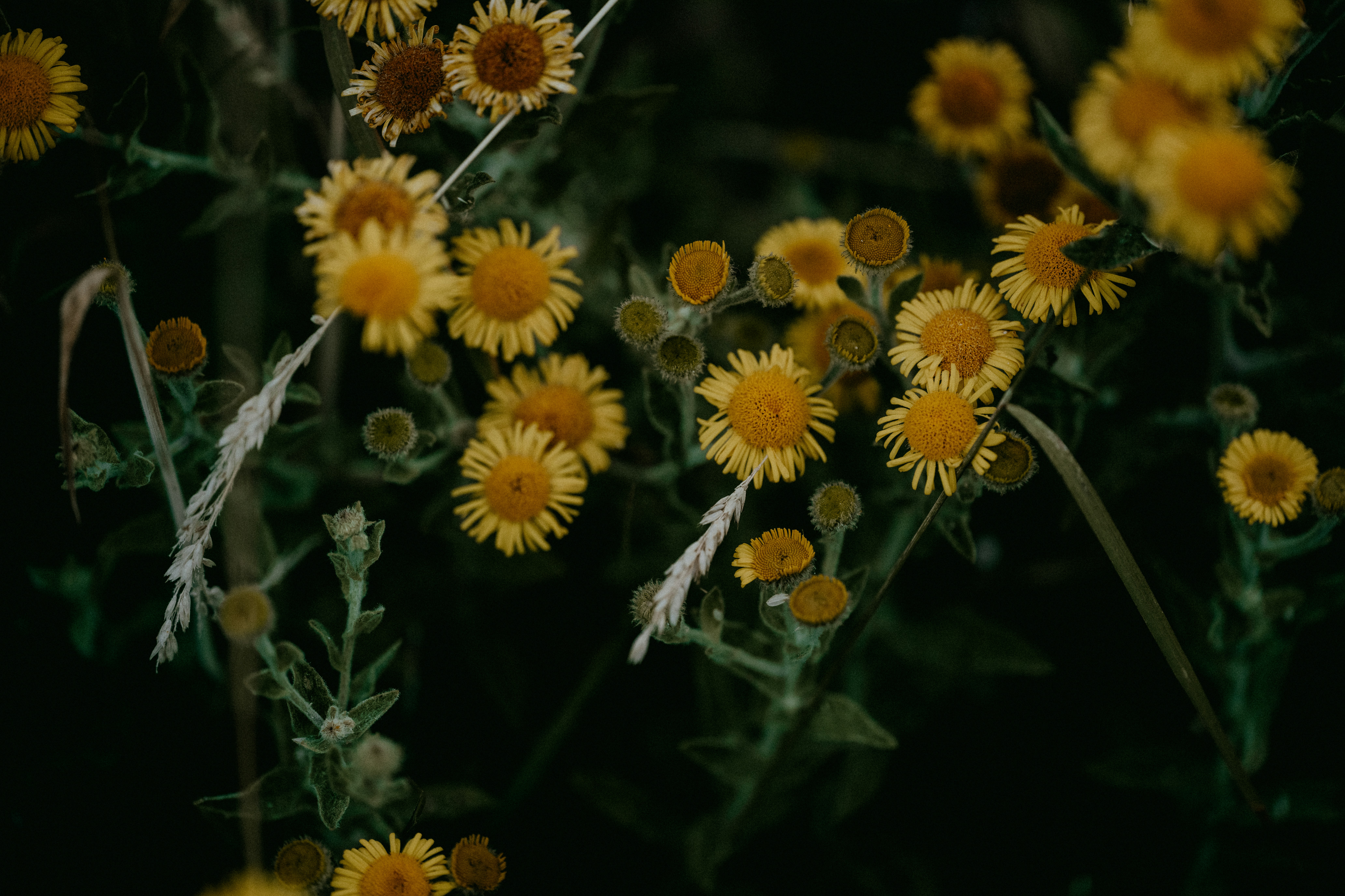 Photo by anniespratt