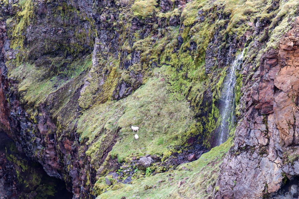 a waterfall in a rocky area