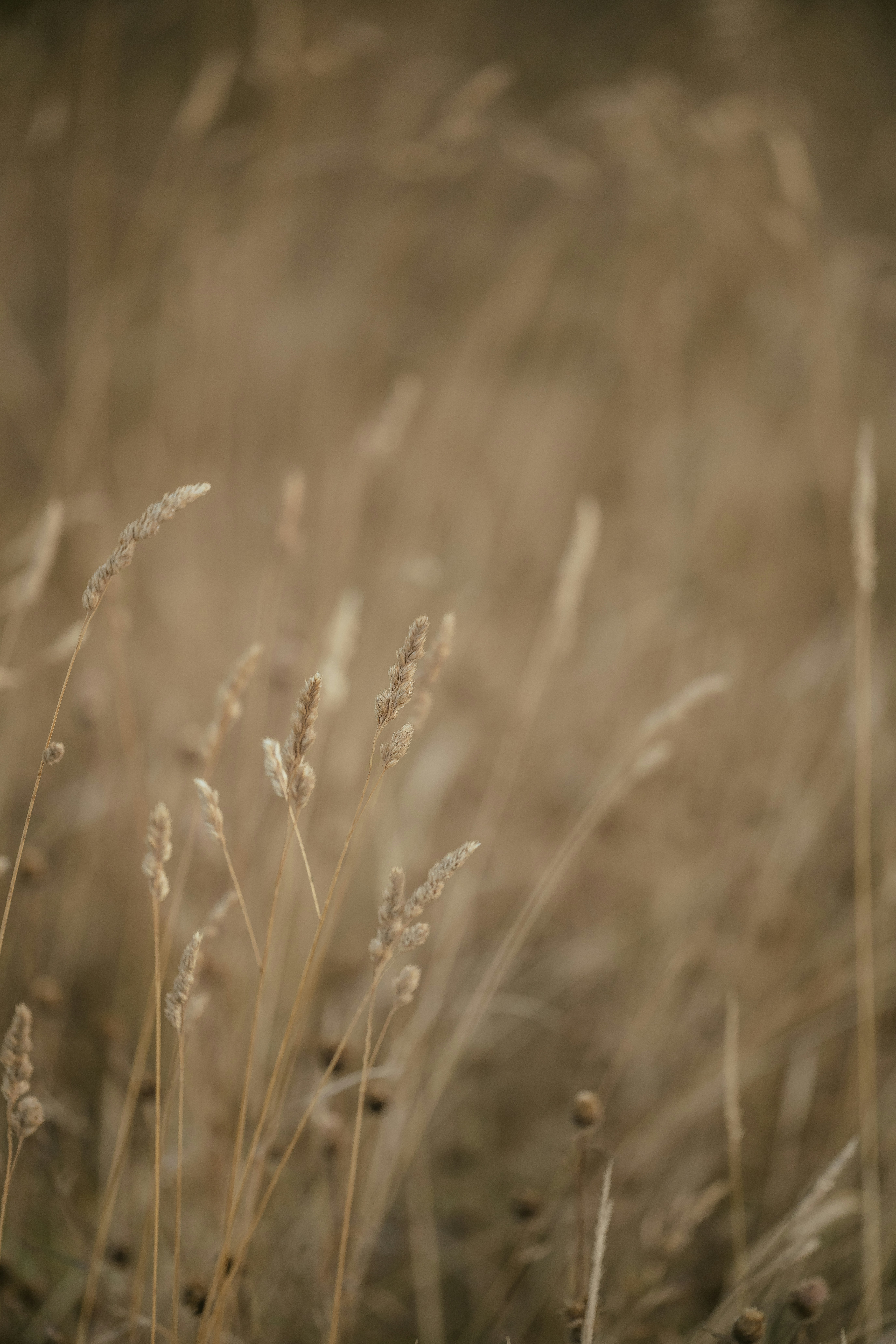 Photo by anniespratt