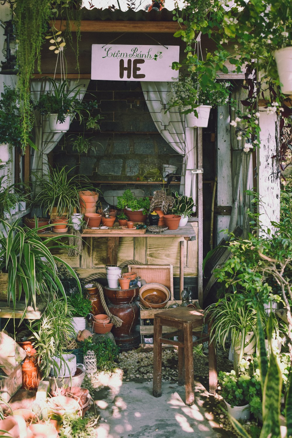 a store front with potted plants