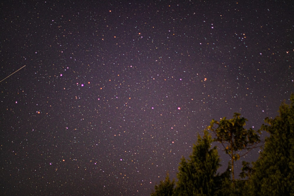 estrelas no céu