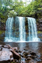 a waterfall in a forest
