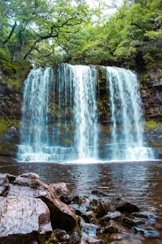 a waterfall in a forest