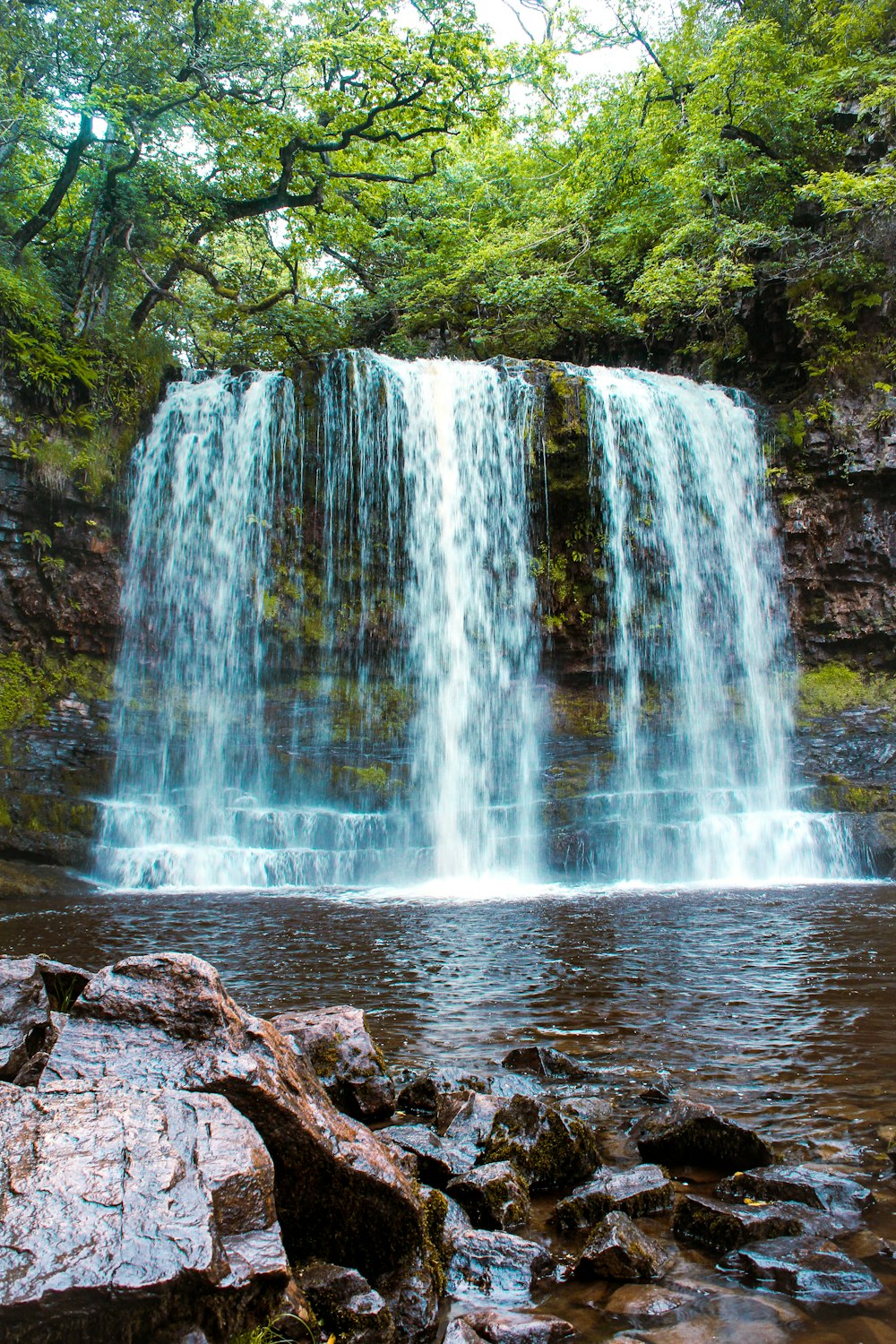 a waterfall in a forest