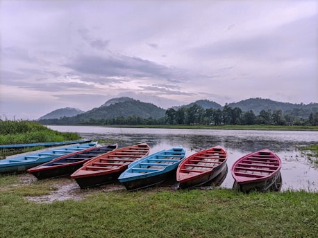 a group of boats sit on the shore of a lake