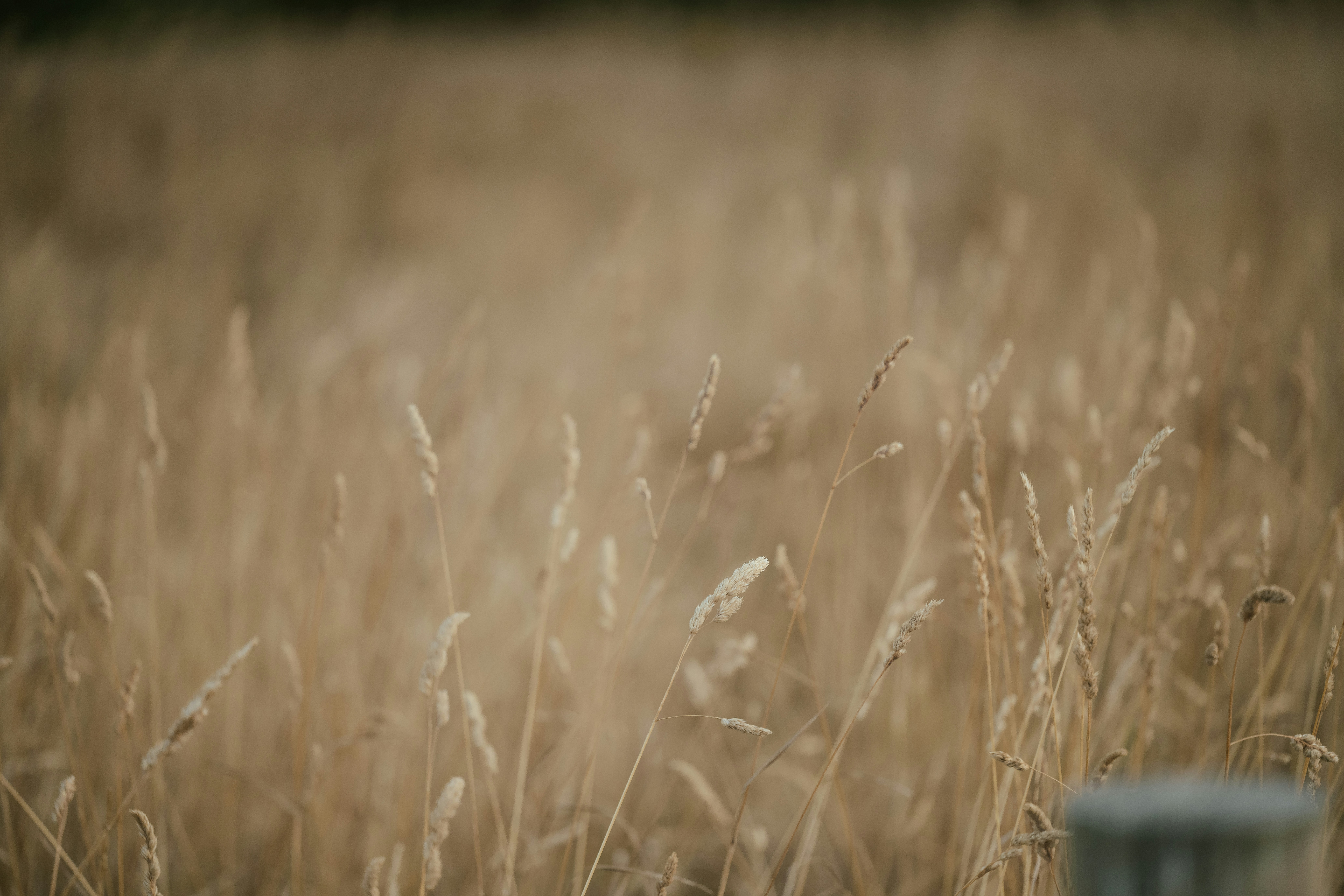 Photo by anniespratt