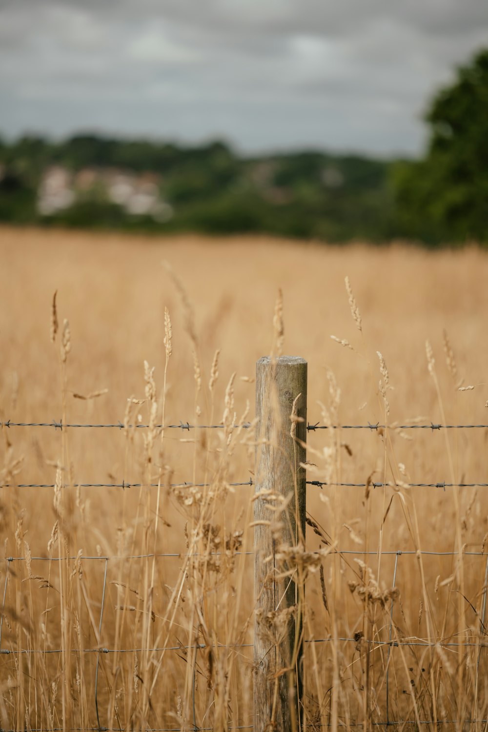 a fence with a field in the background