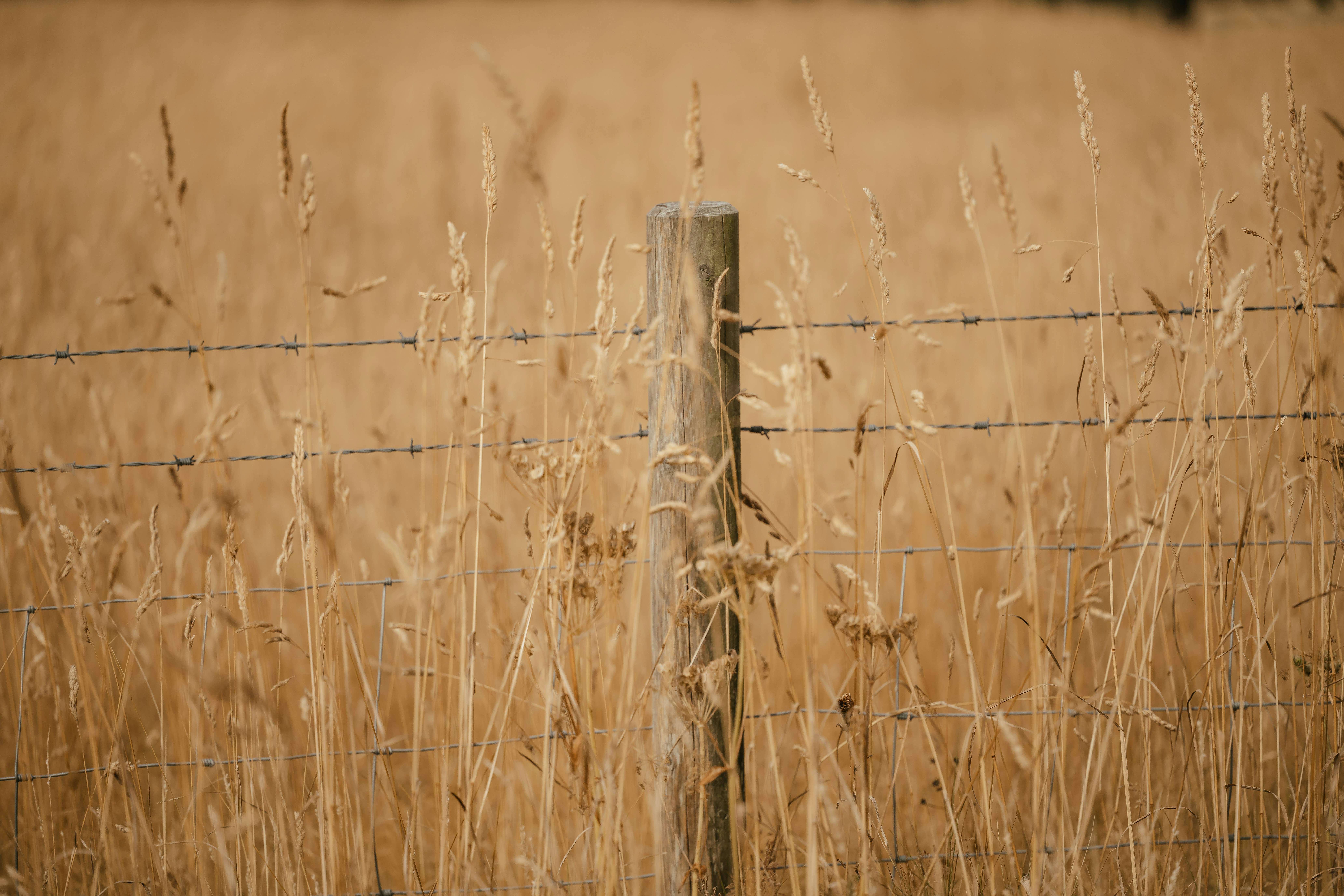 Photo by anniespratt