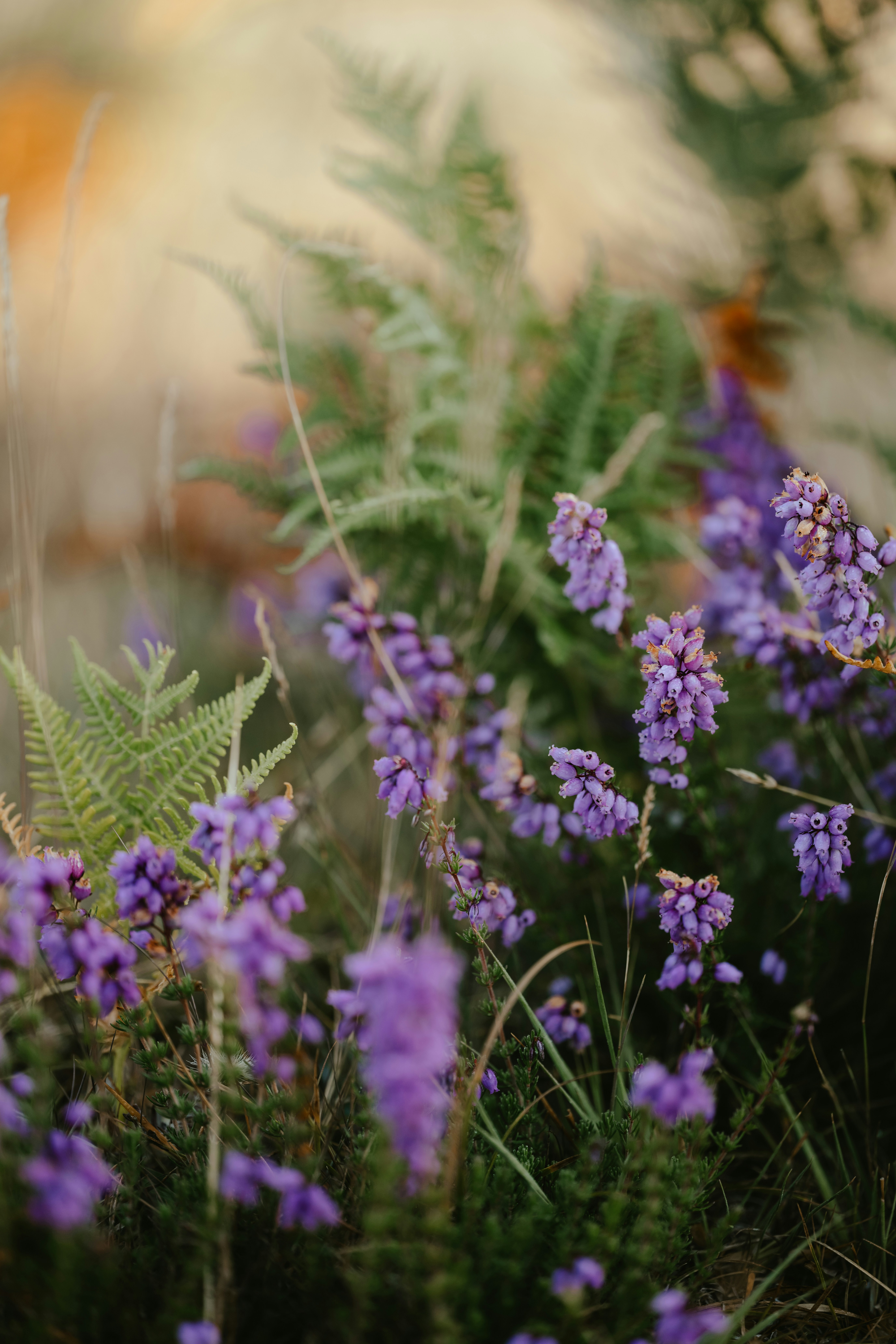 Photo by anniespratt