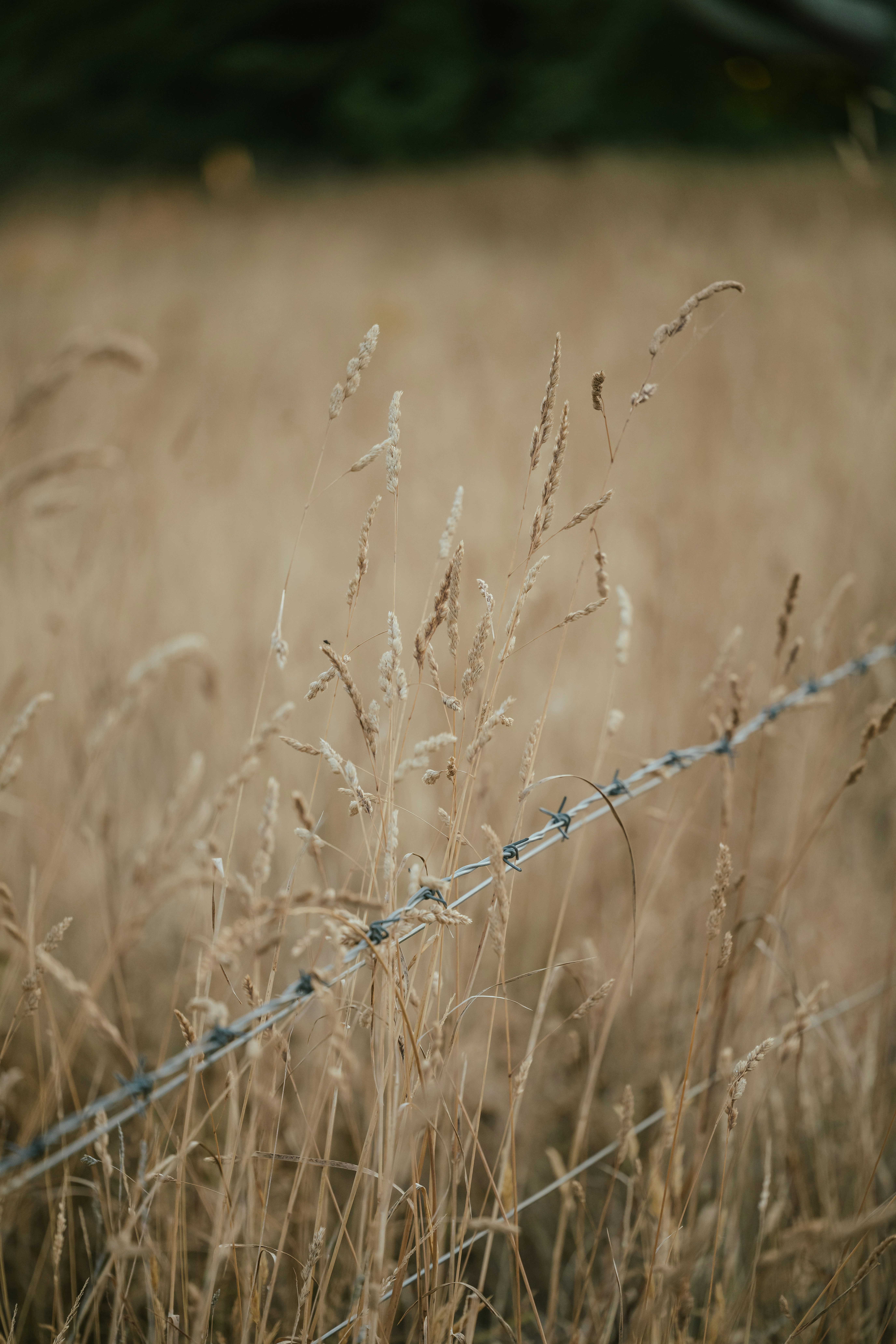 Photo by anniespratt