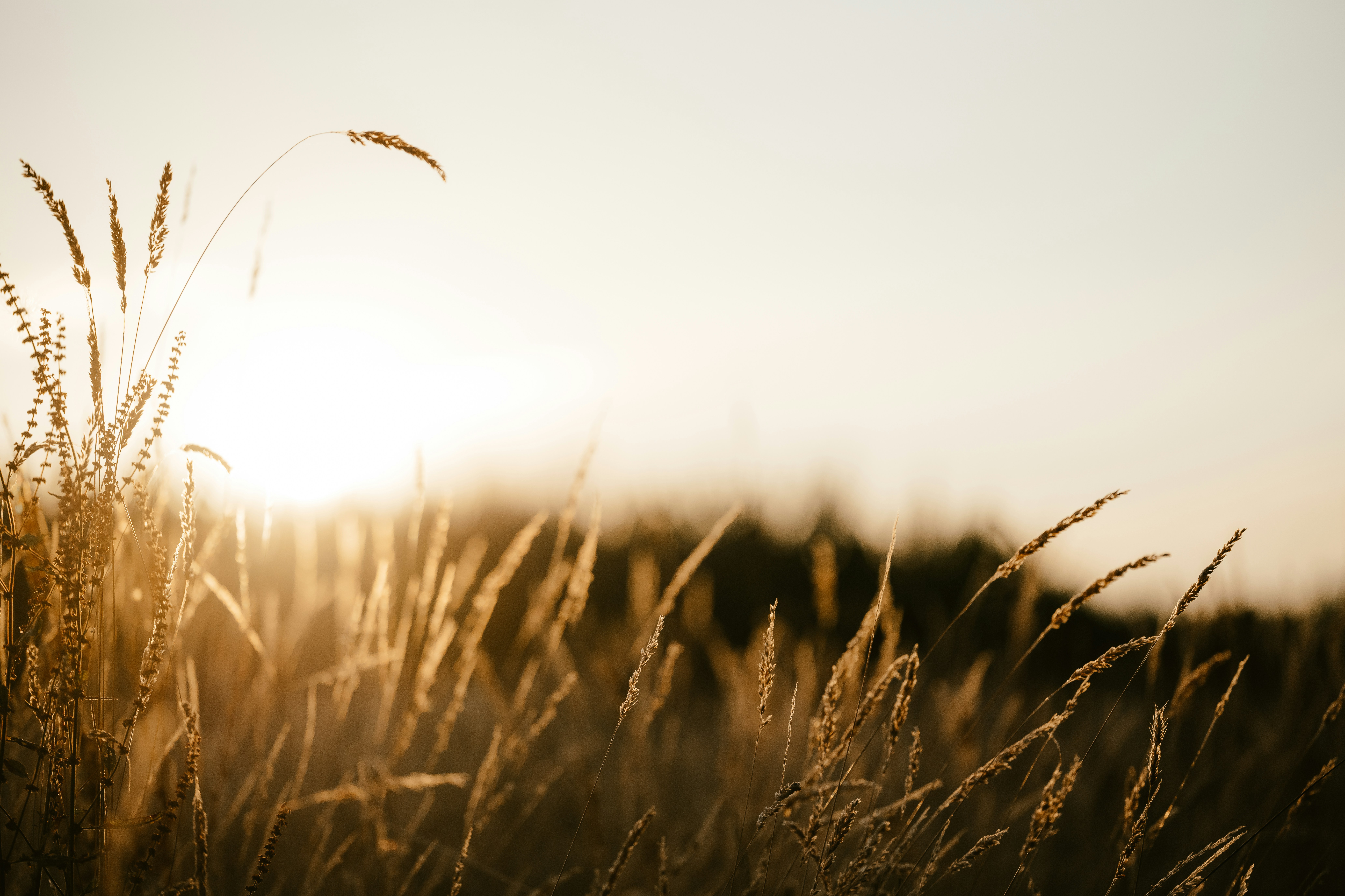 Photo by anniespratt