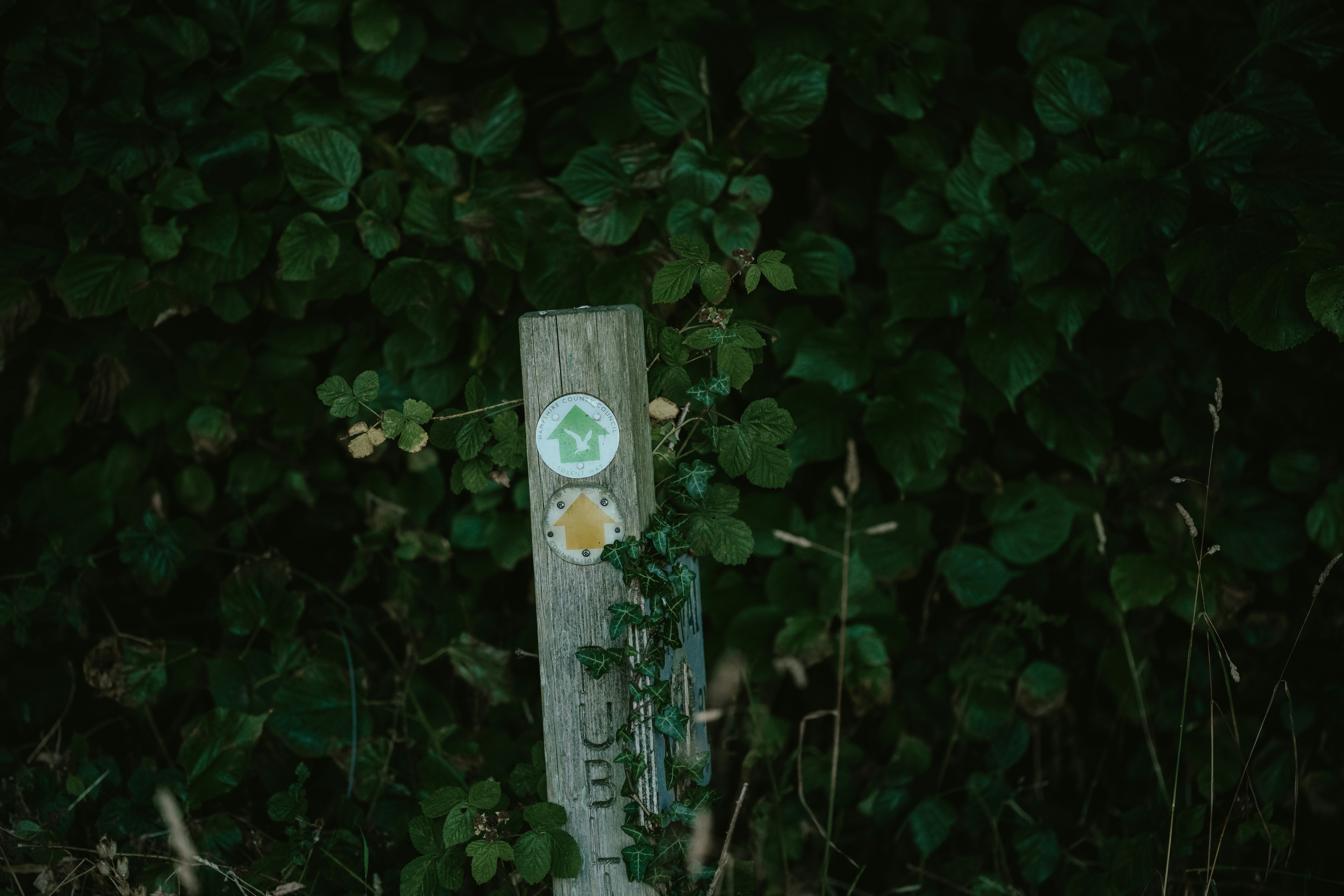 Photo by anniespratt