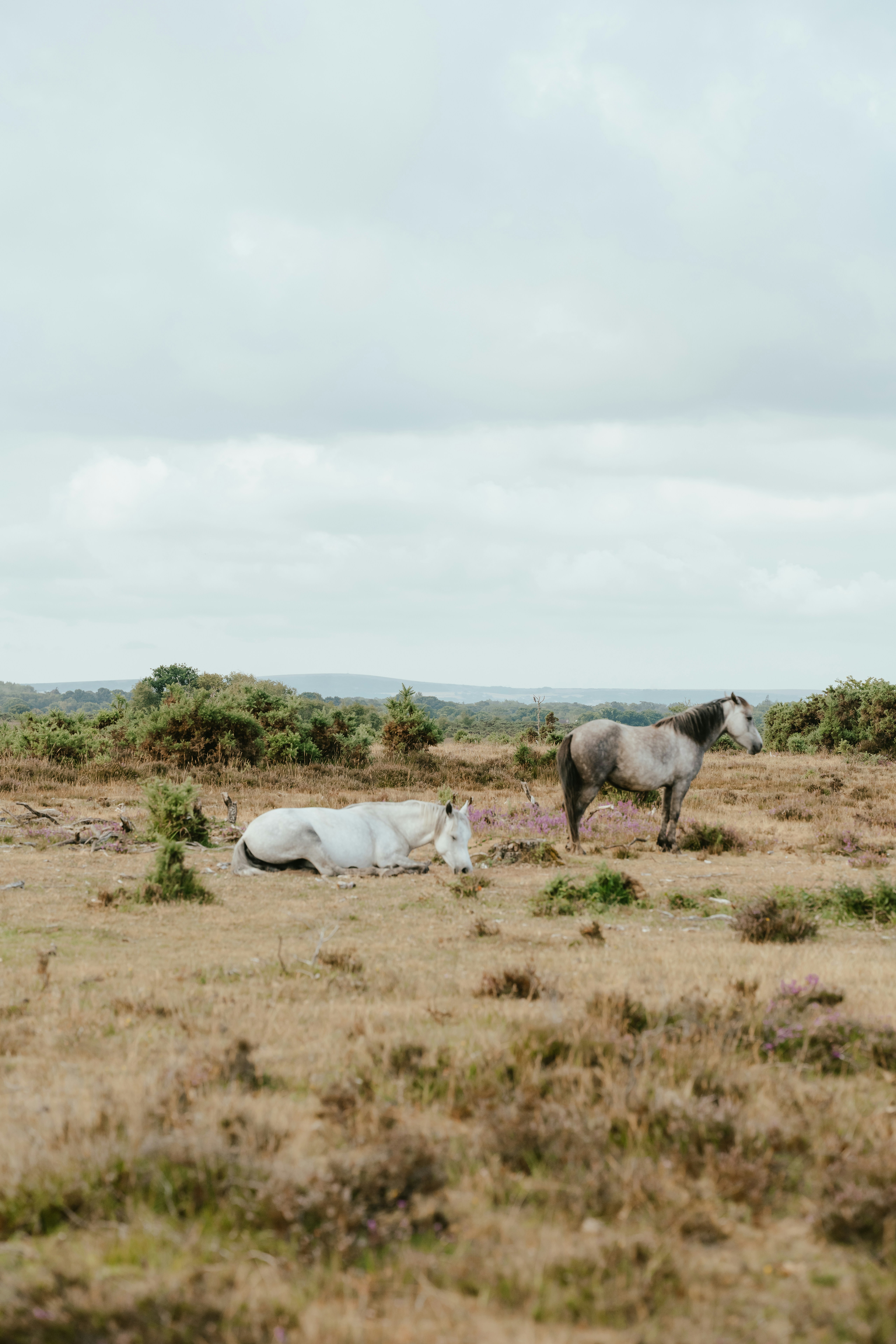 Photo by anniespratt