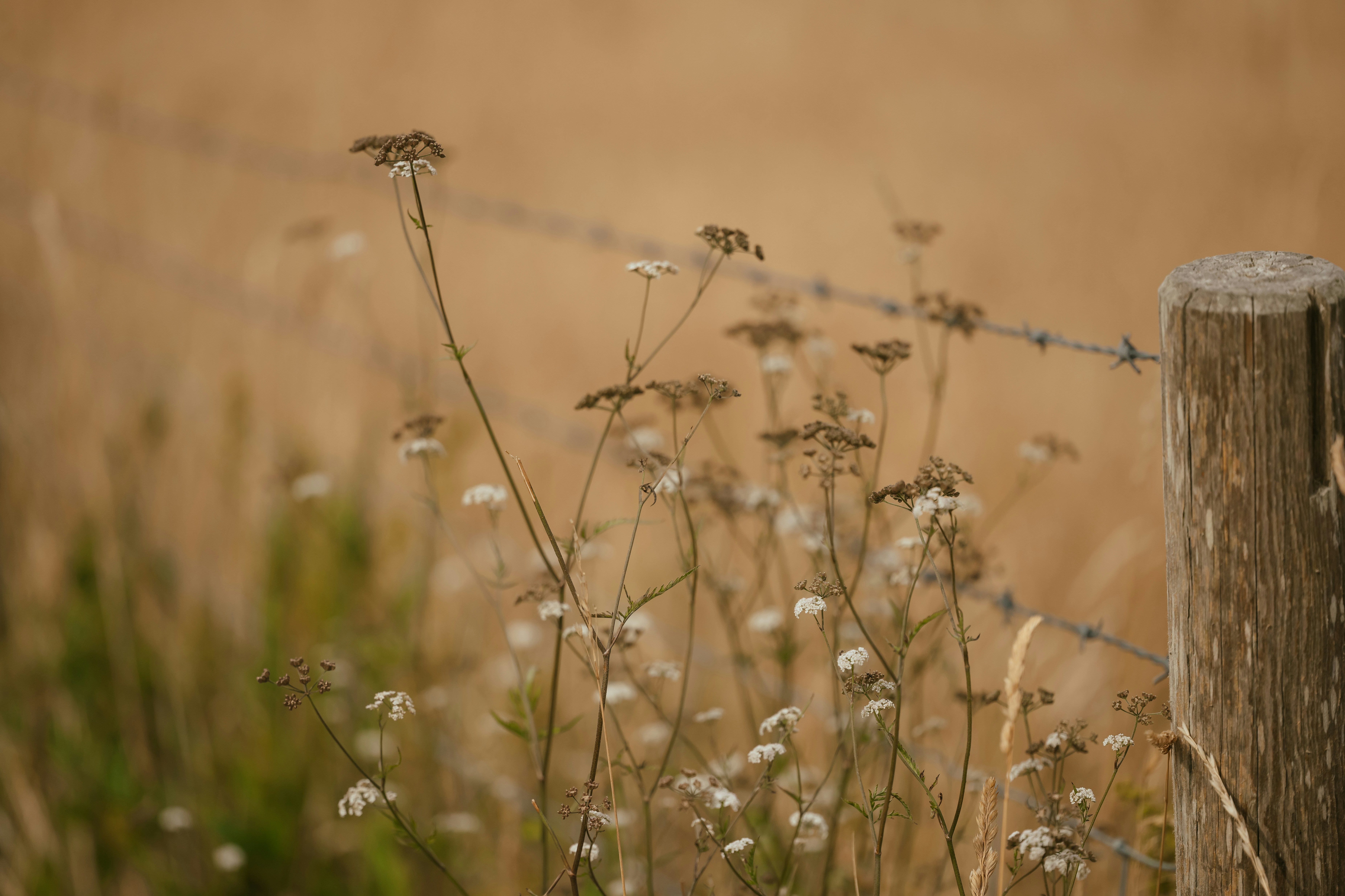 Photo by anniespratt