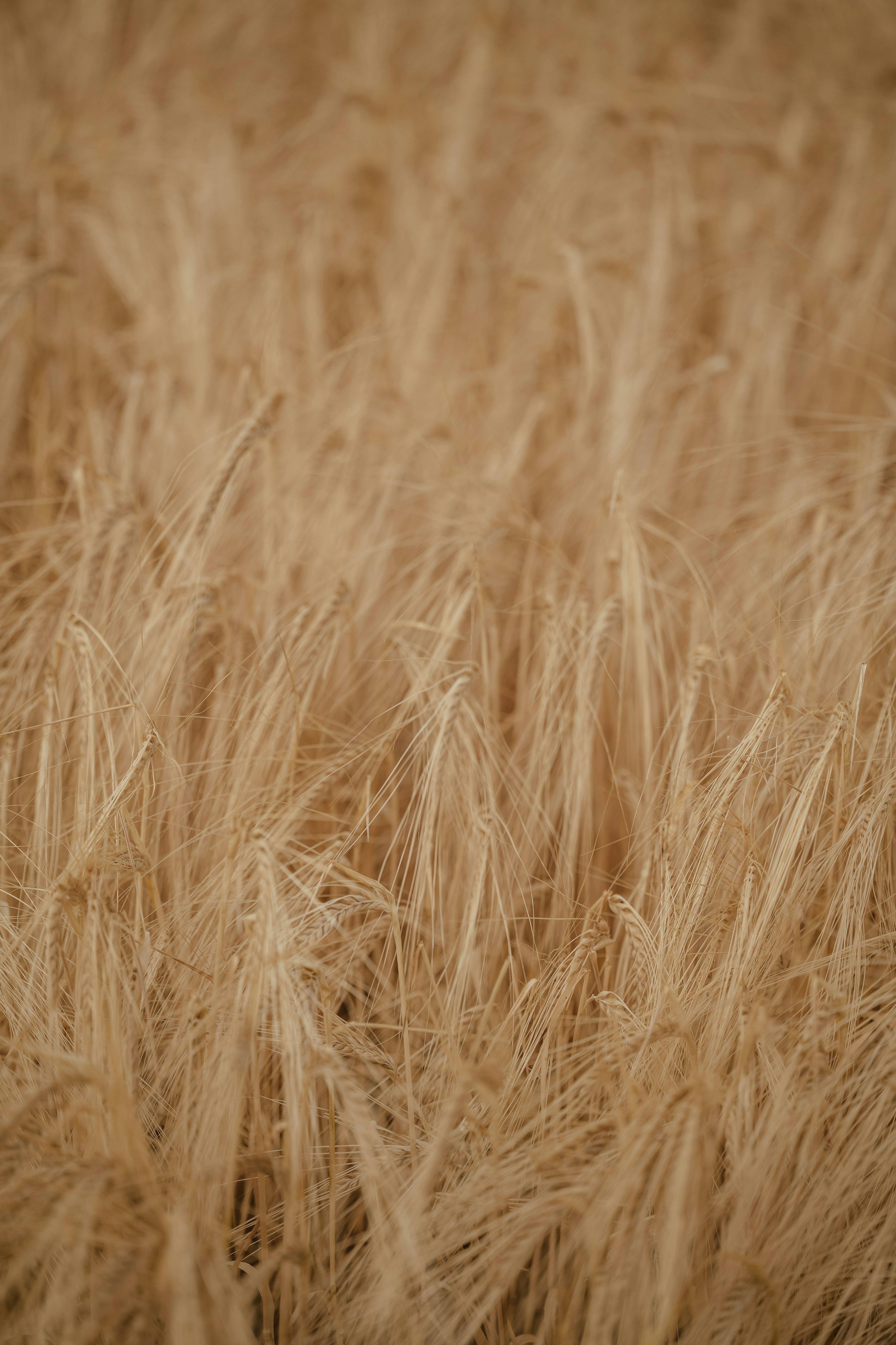 Photo by anniespratt