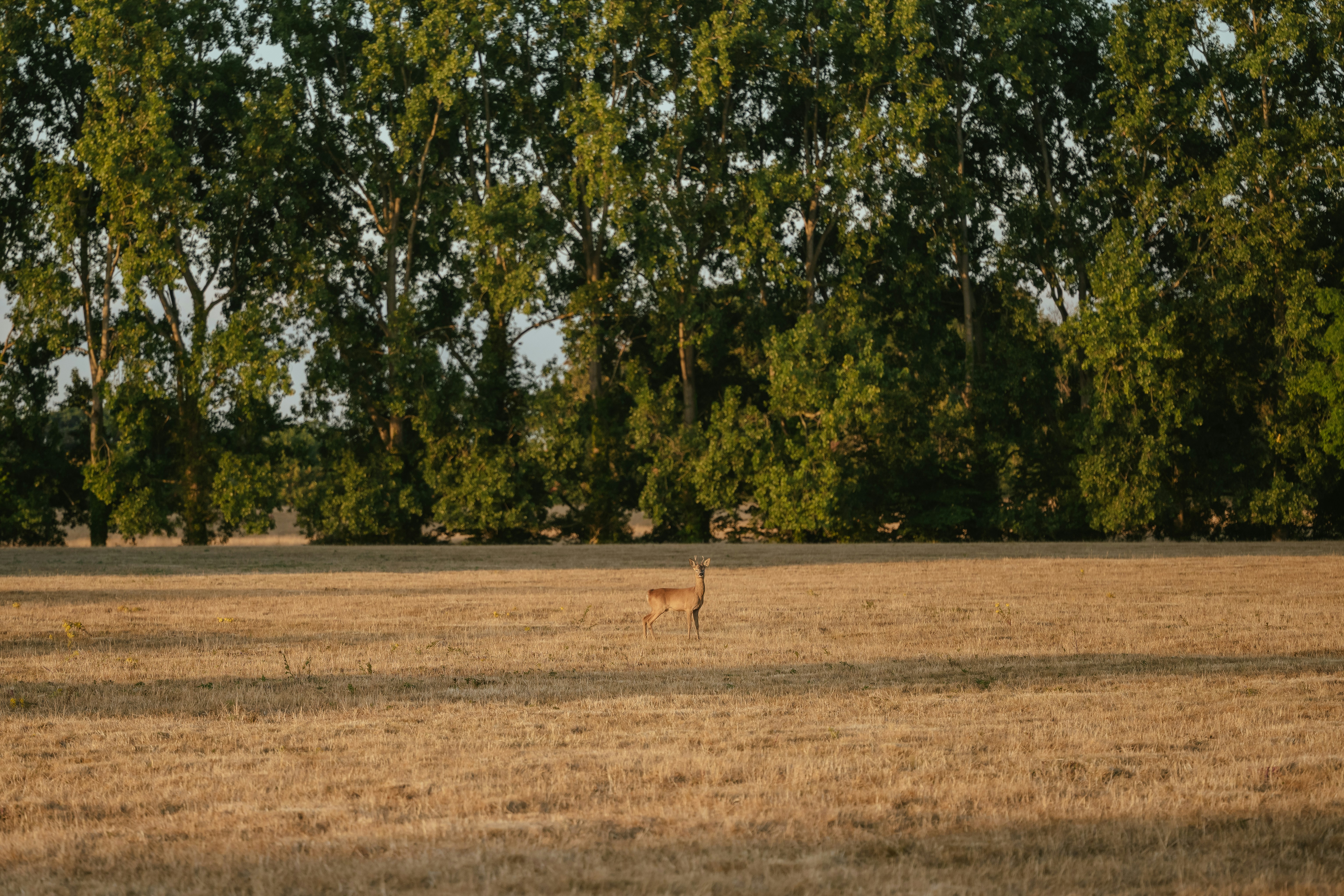 Photo by anniespratt