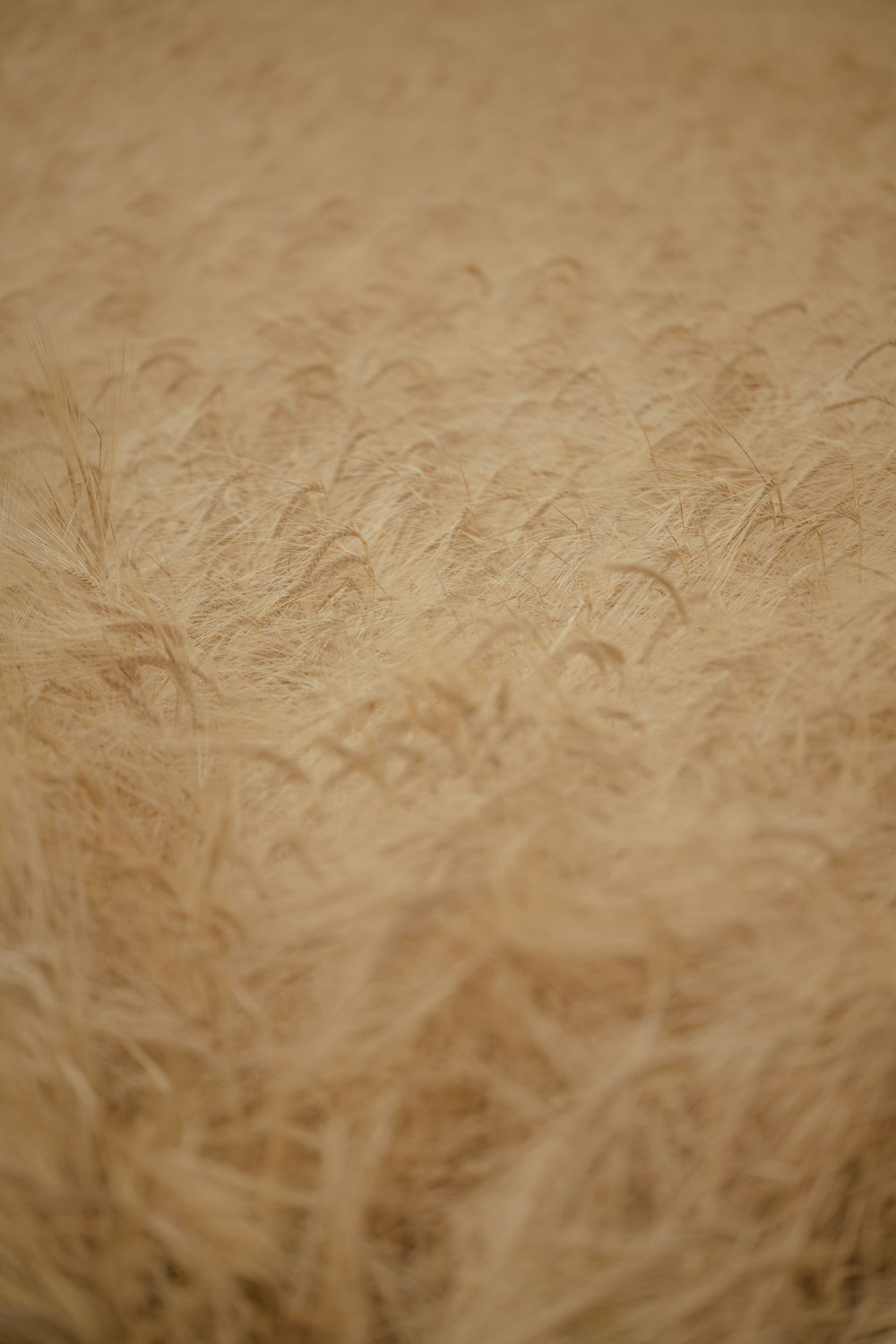 a close up of a sand dune