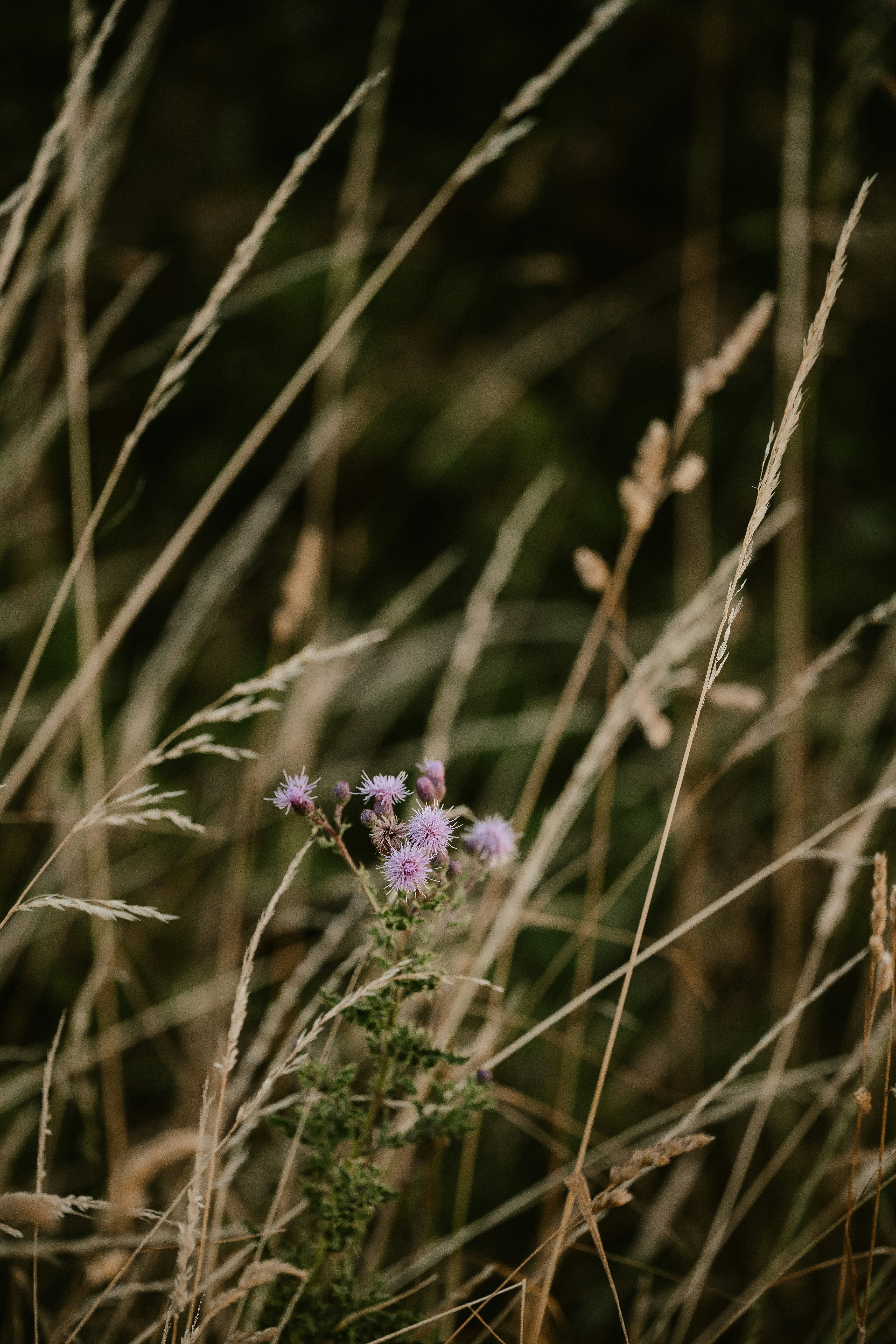 Photo by anniespratt