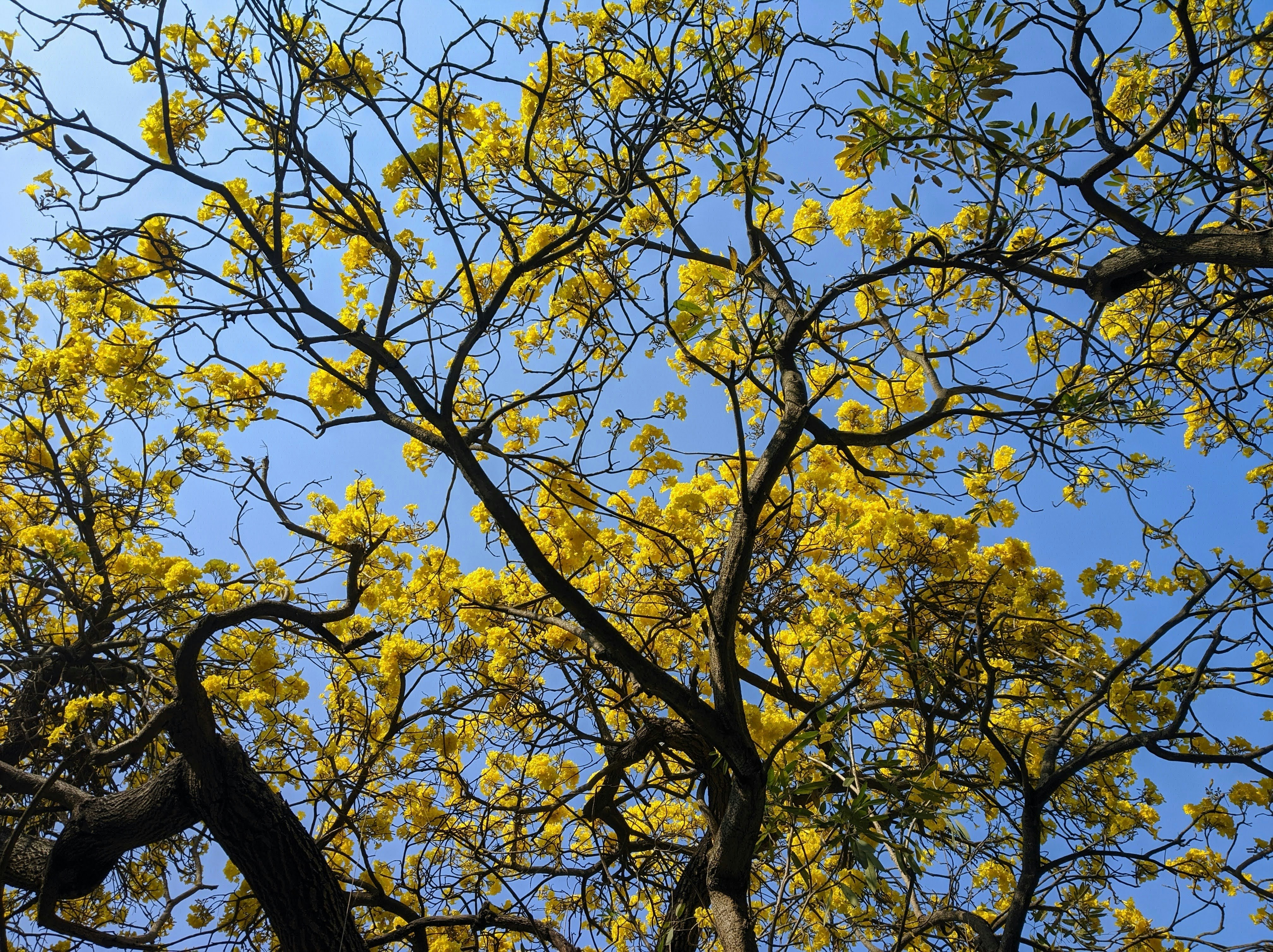 Photo by damnfotographer