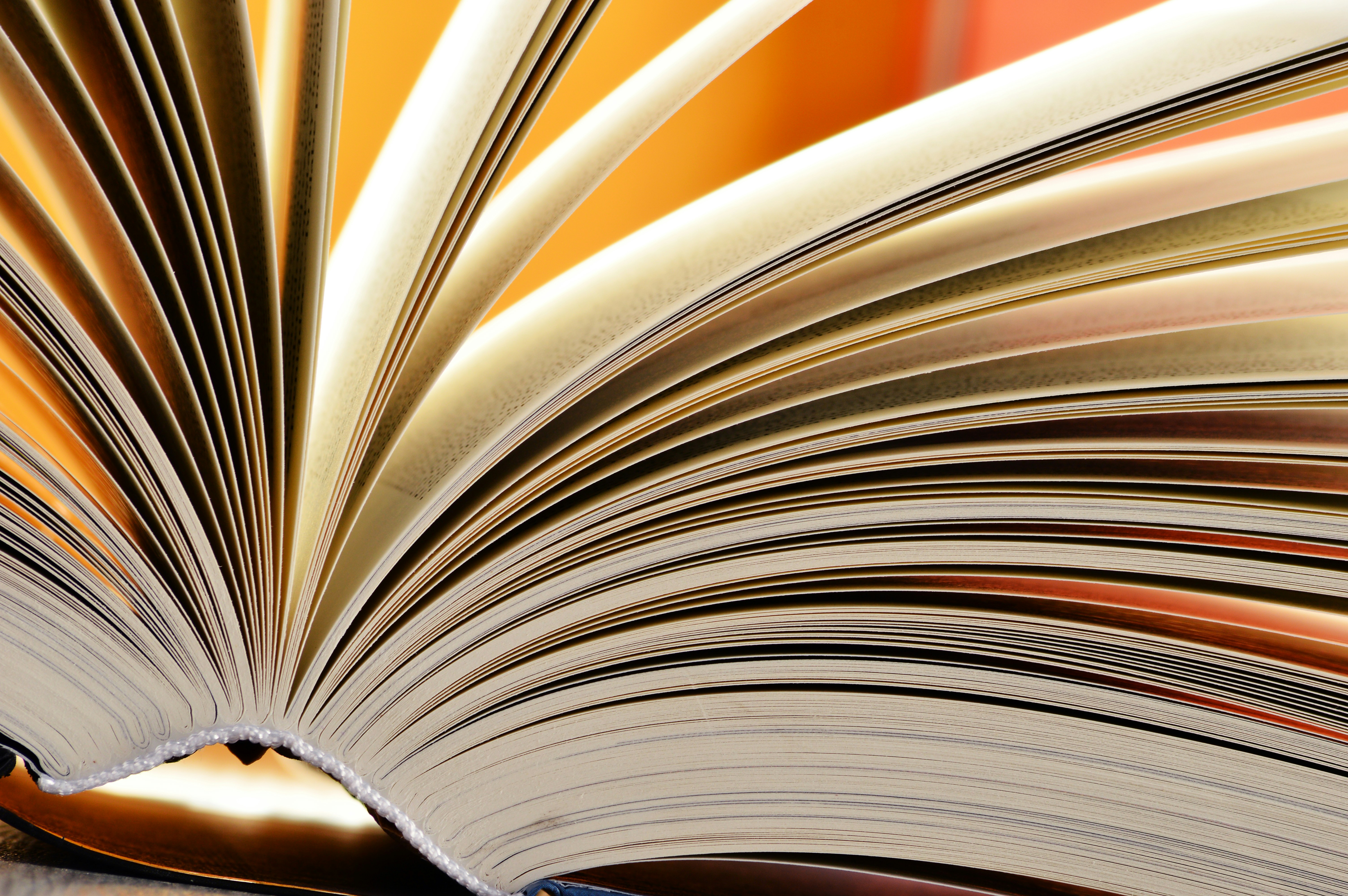 Photo by michael2428_10111146_sink