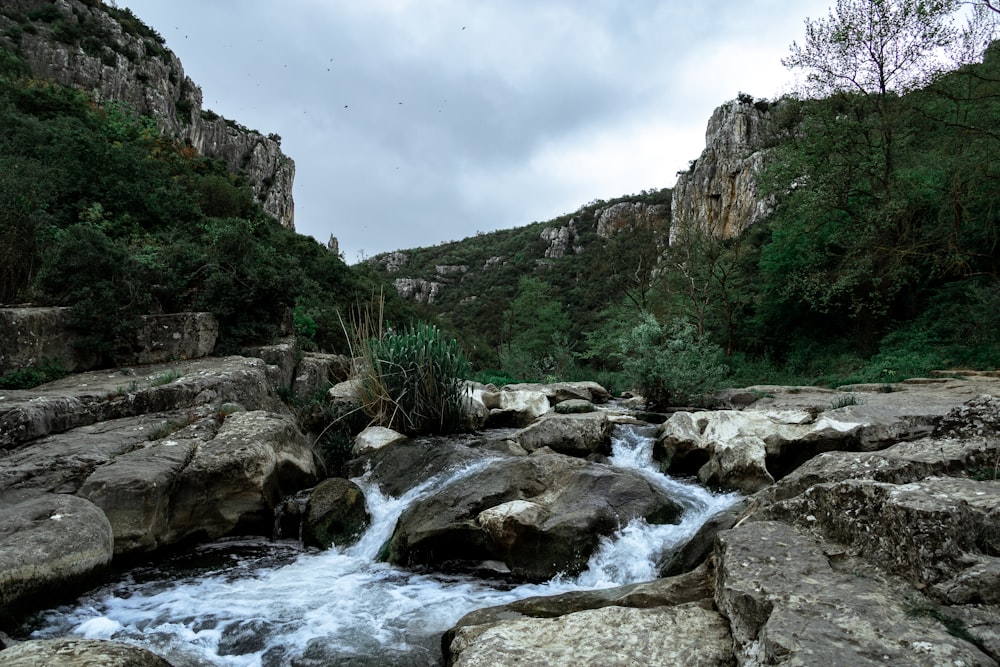 a river running through a rocky area