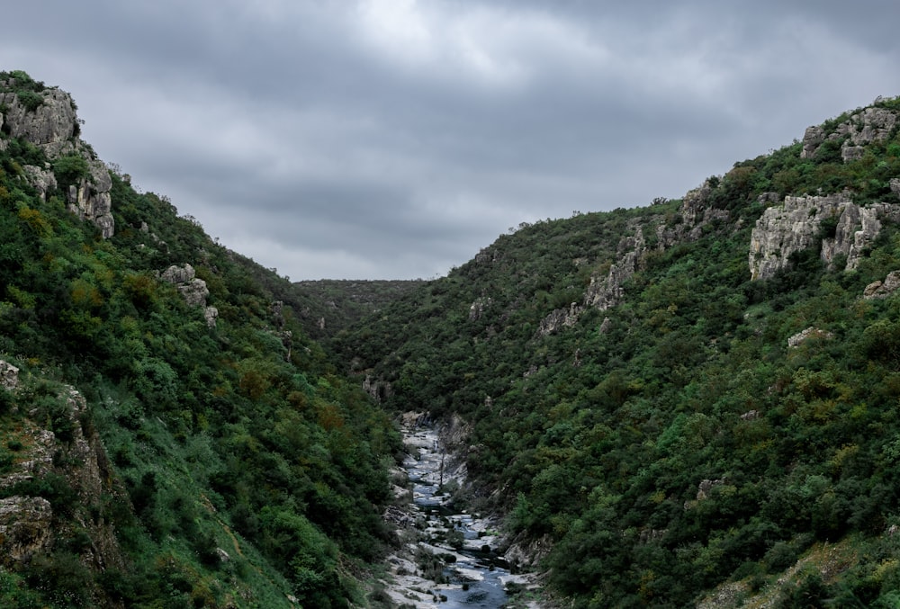 Ein Fluss, der durch ein Tal fließt