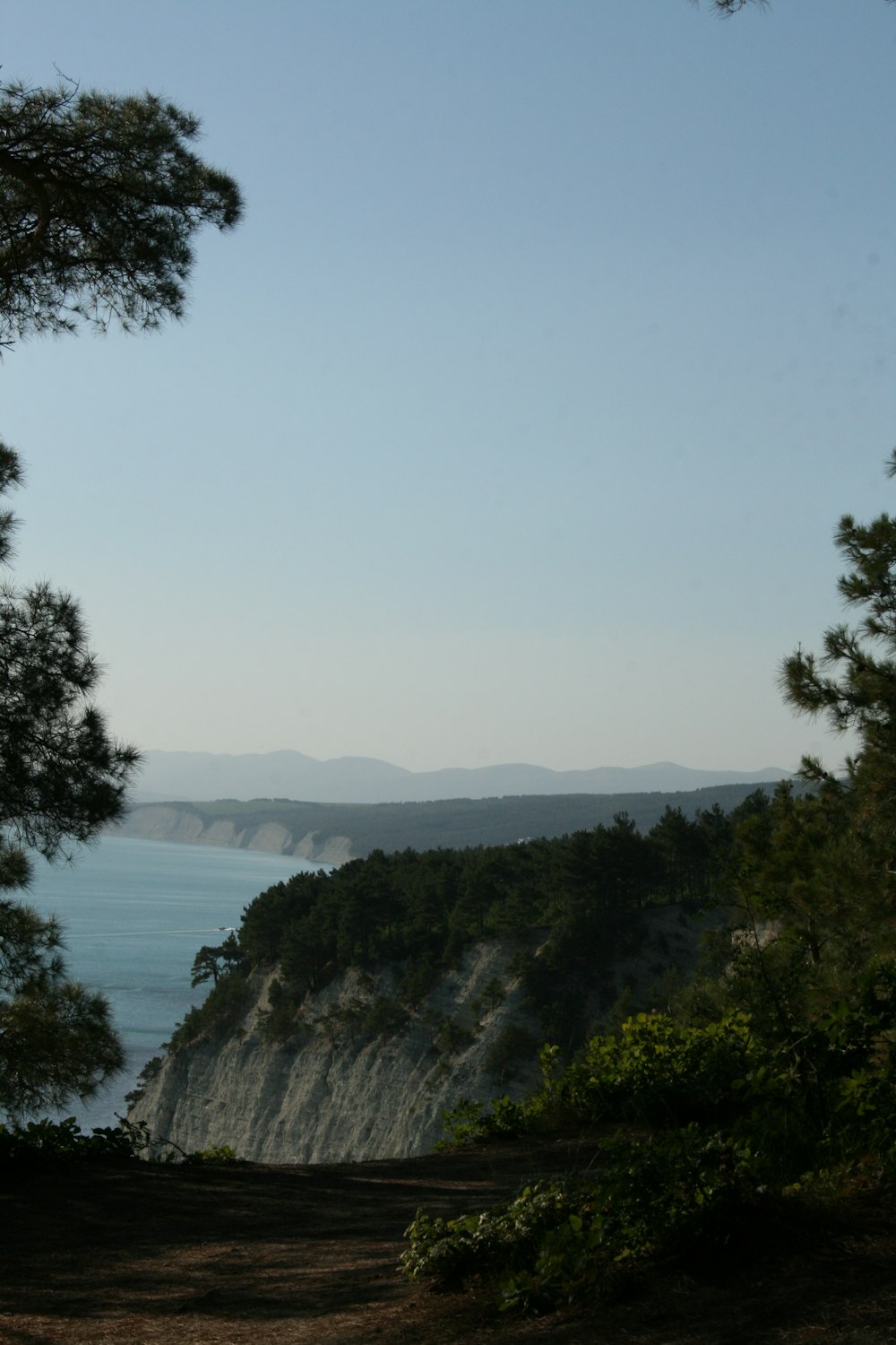 a cliff with trees and a body of water in the background