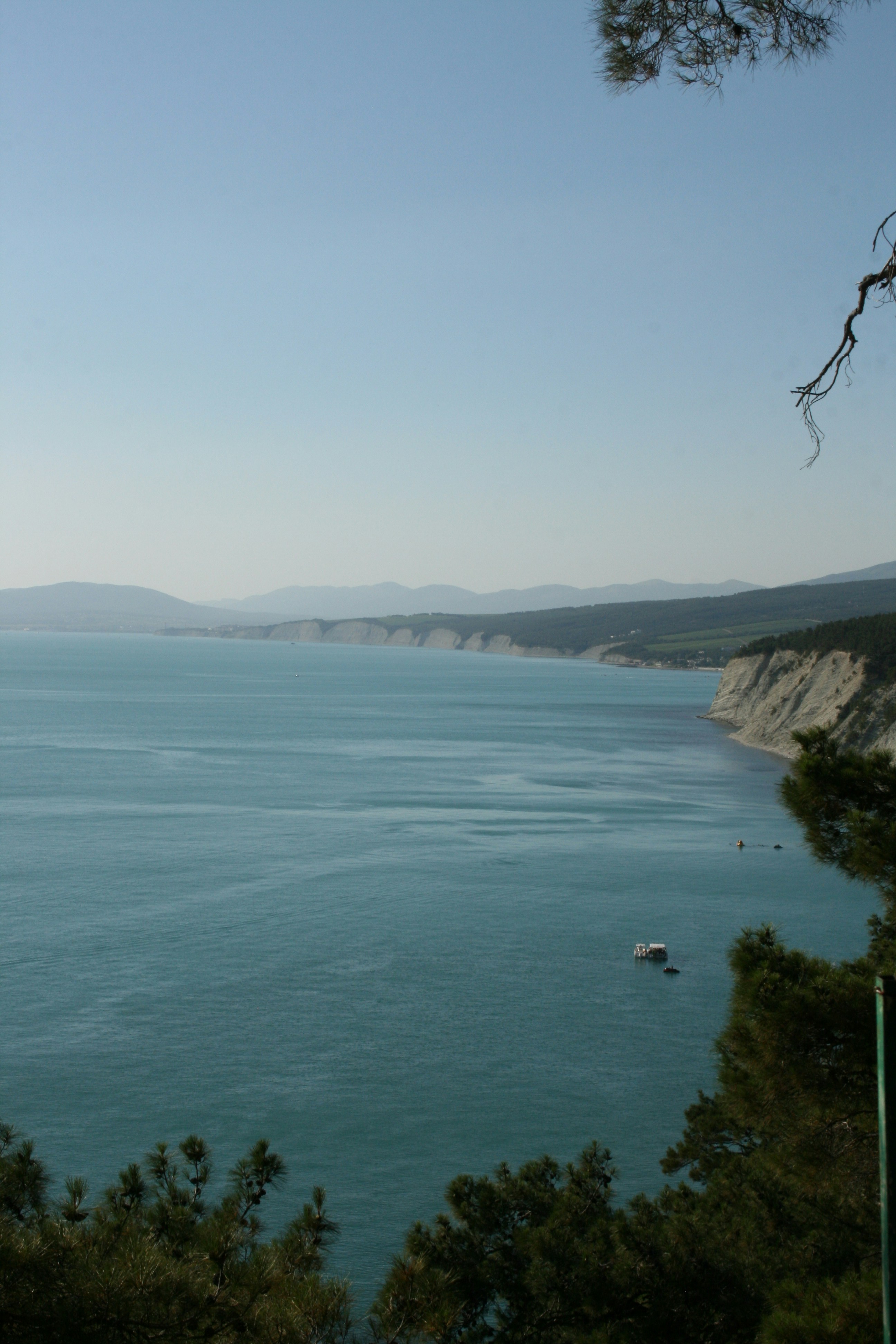 Photo by mitsuki_044