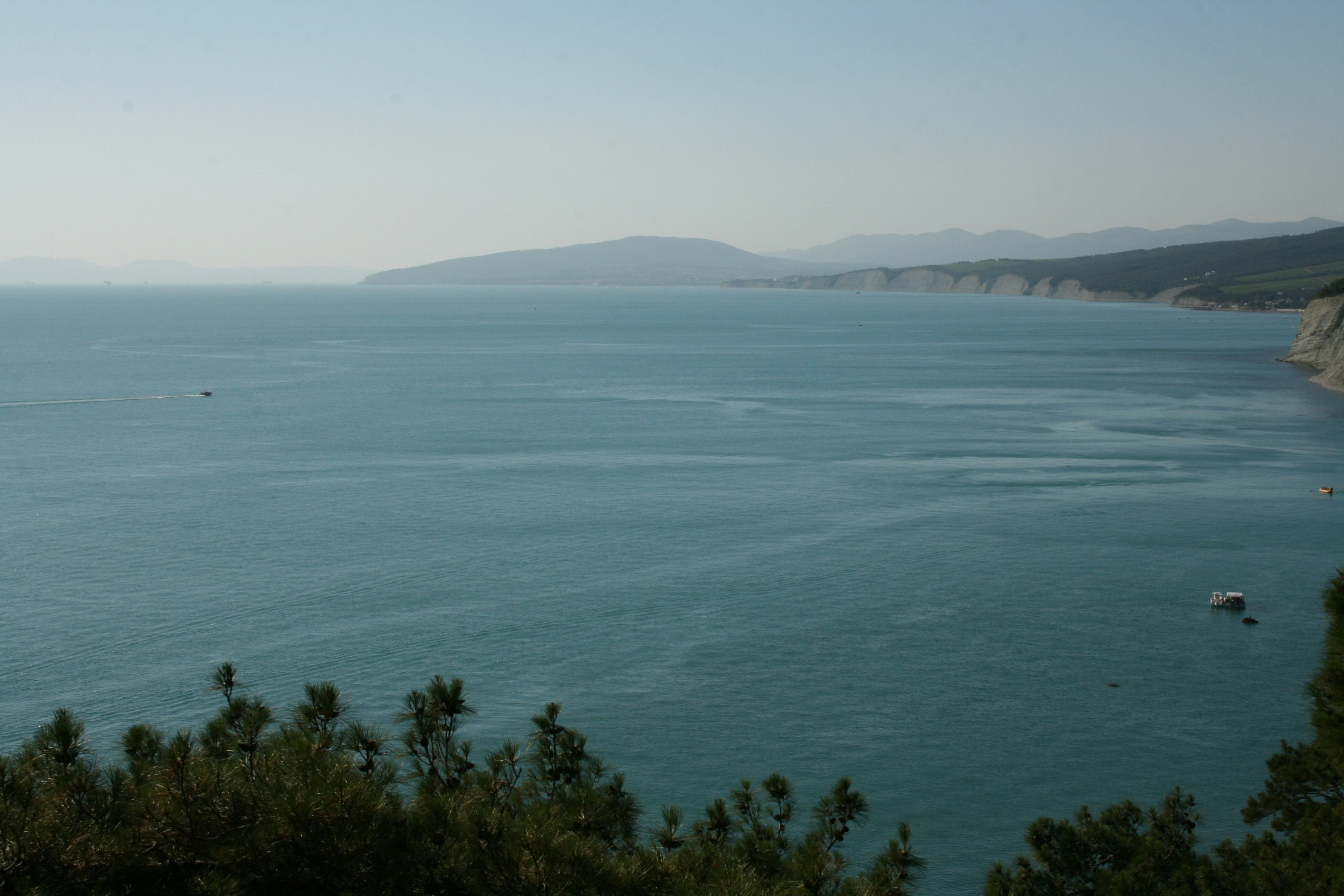 Photo by mitsuki_044