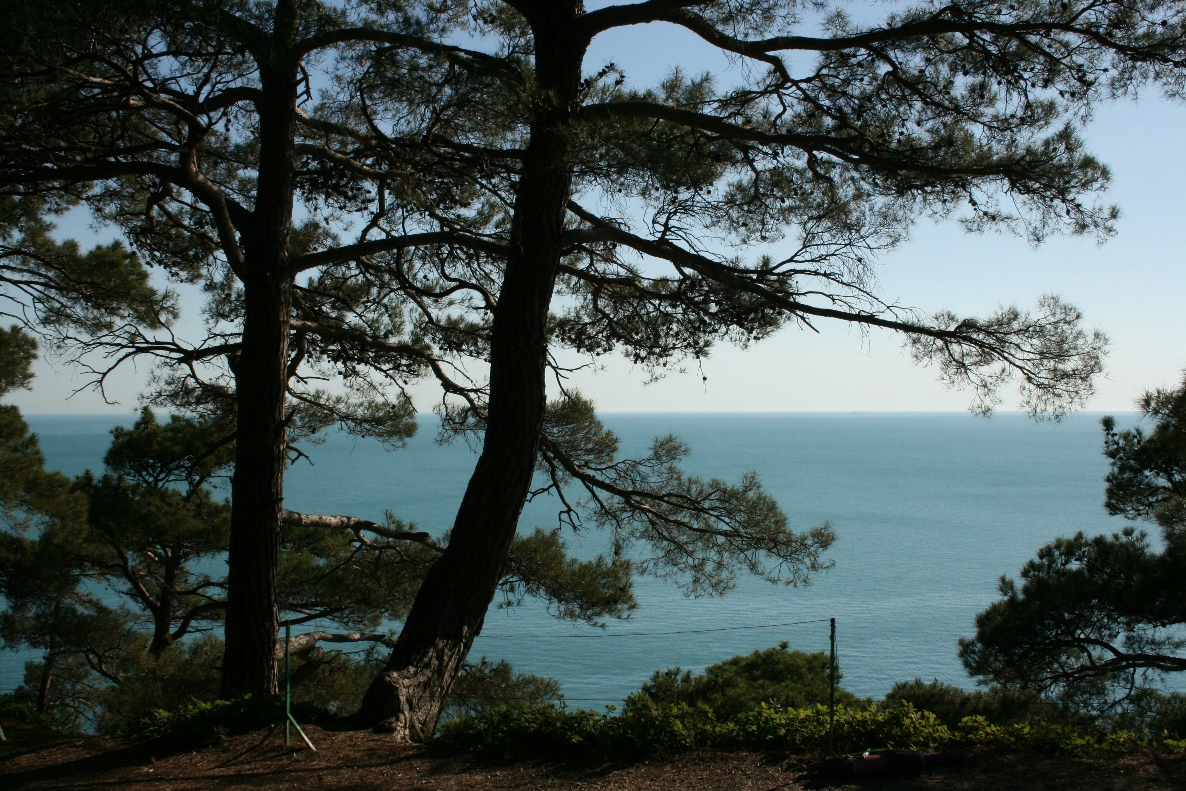 Photo by mitsuki_044