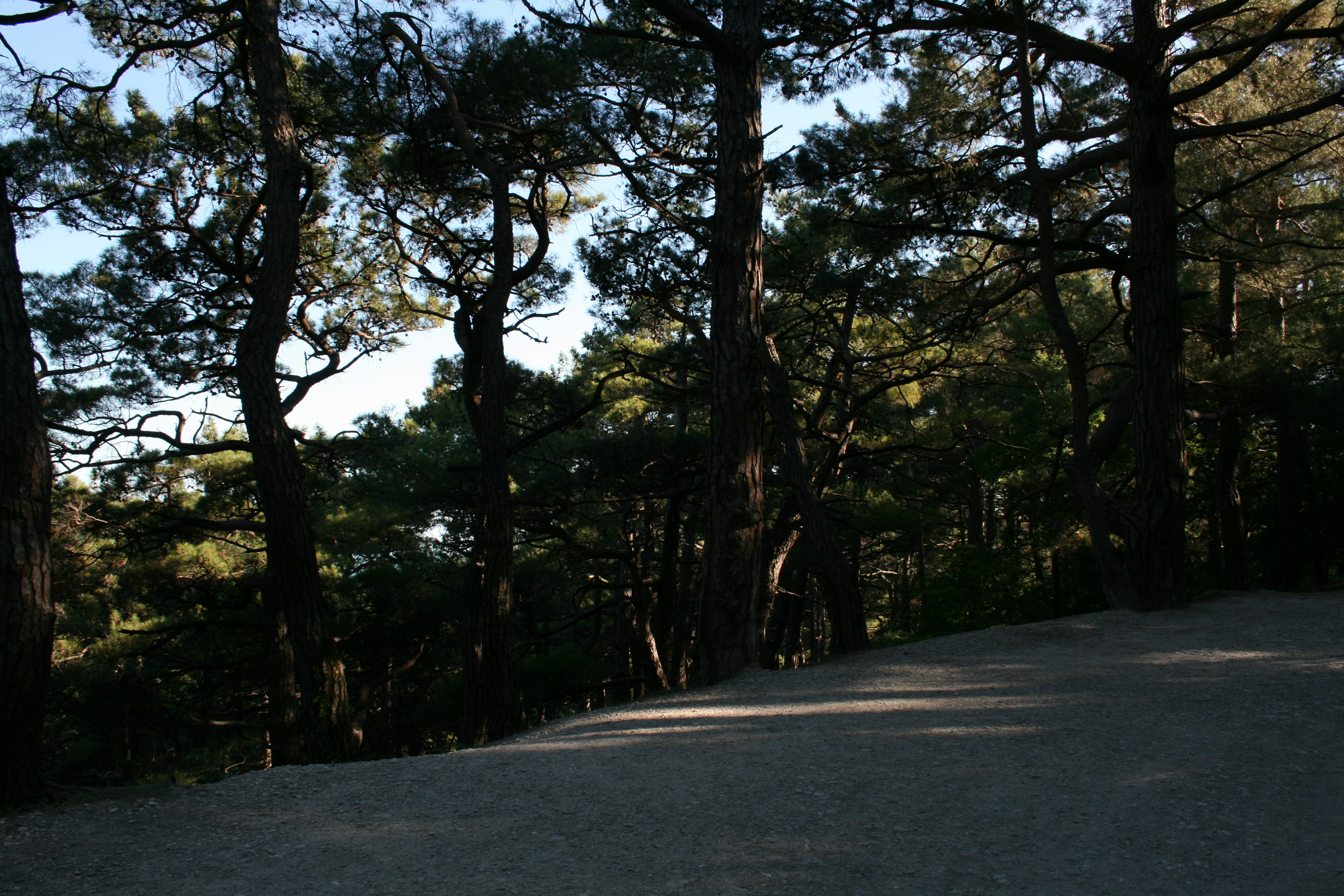 Nokonoshima Island Park photo 2