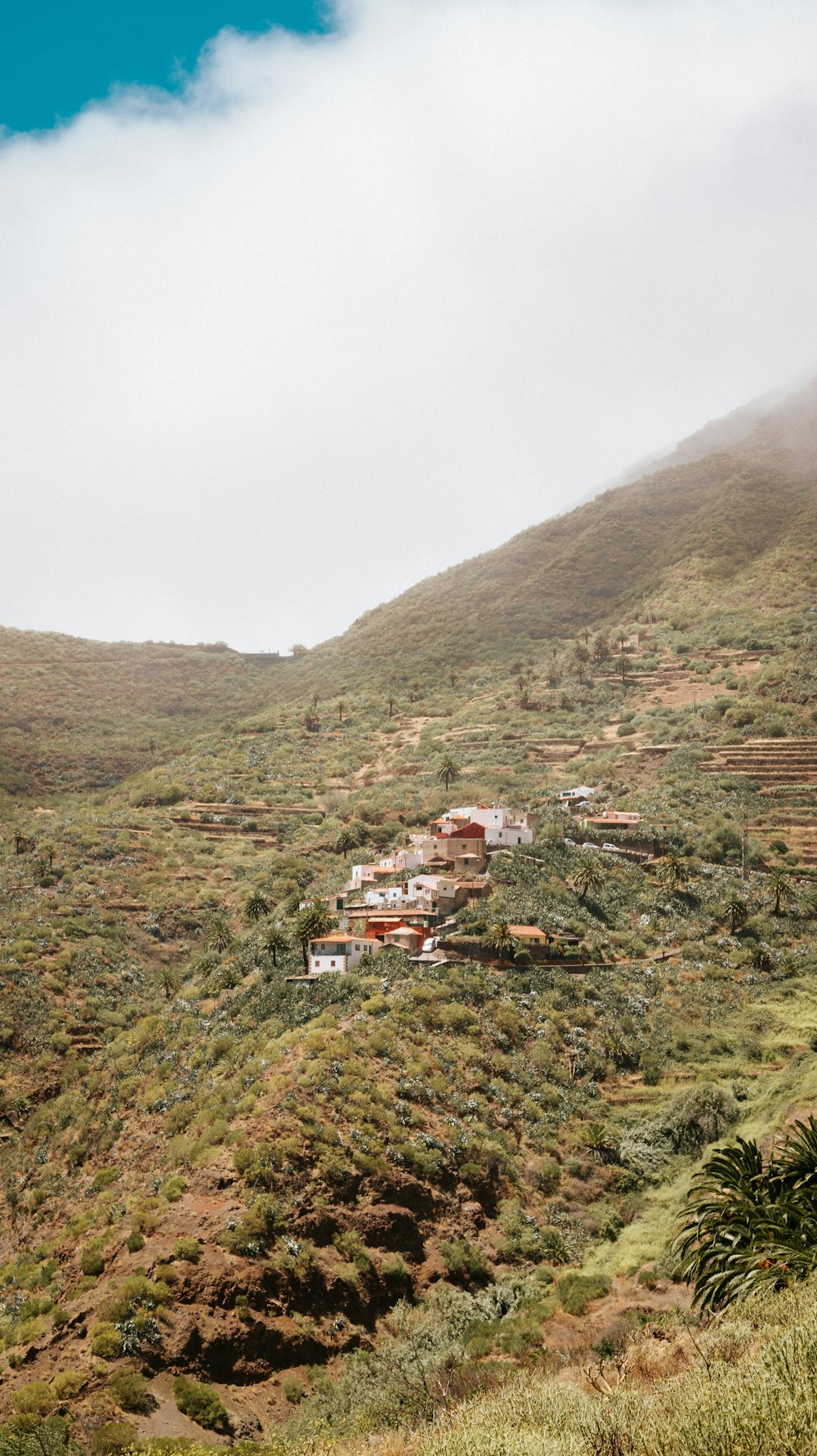 Eine Gruppe von Häusern auf einem Hügel