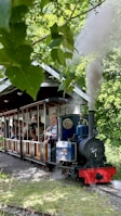 A small, vintage steam train traveling along a narrow-gauge railway carries passengers through a lush green area. The train is blue with red accents and emits white steam from its chimney. The passengers look content, enjoying the ride under a canopy of overhanging leaves.
