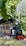 A small, vintage steam train traveling along a narrow-gauge railway carries passengers through a lush green area. The train is blue with red accents and emits white steam from its chimney. The passengers look content, enjoying the ride under a canopy of overhanging leaves.
