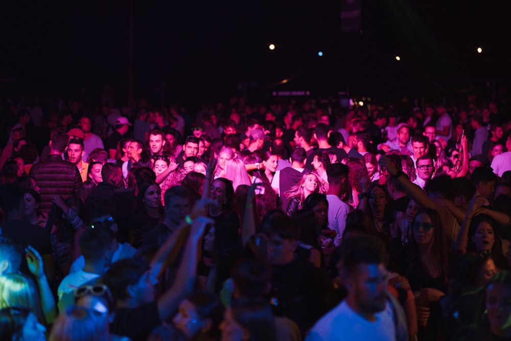 a crowd of people at a concert