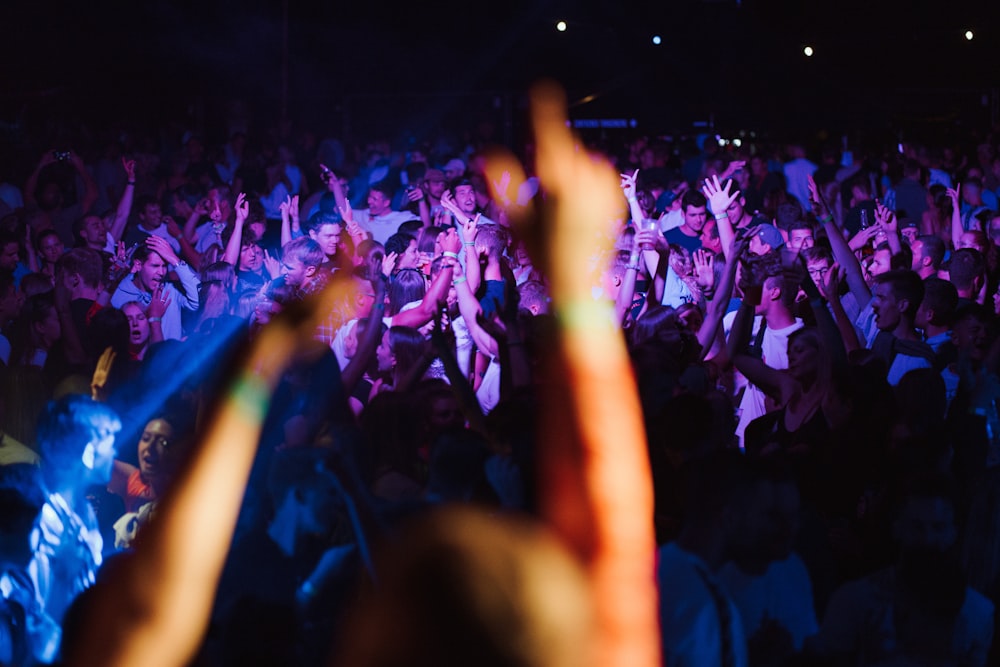 a crowd of people at a concert