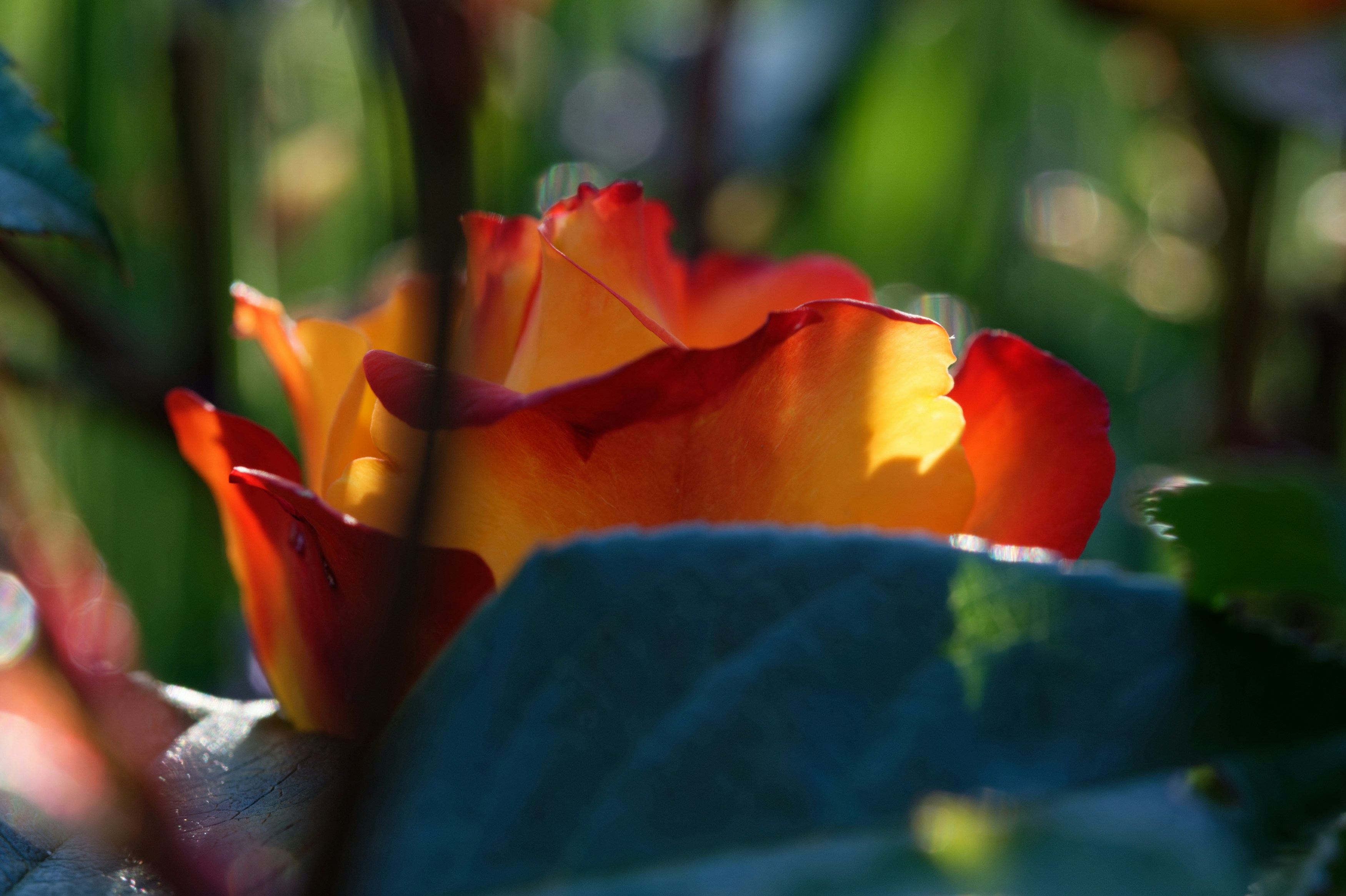 Photo by designbytholen