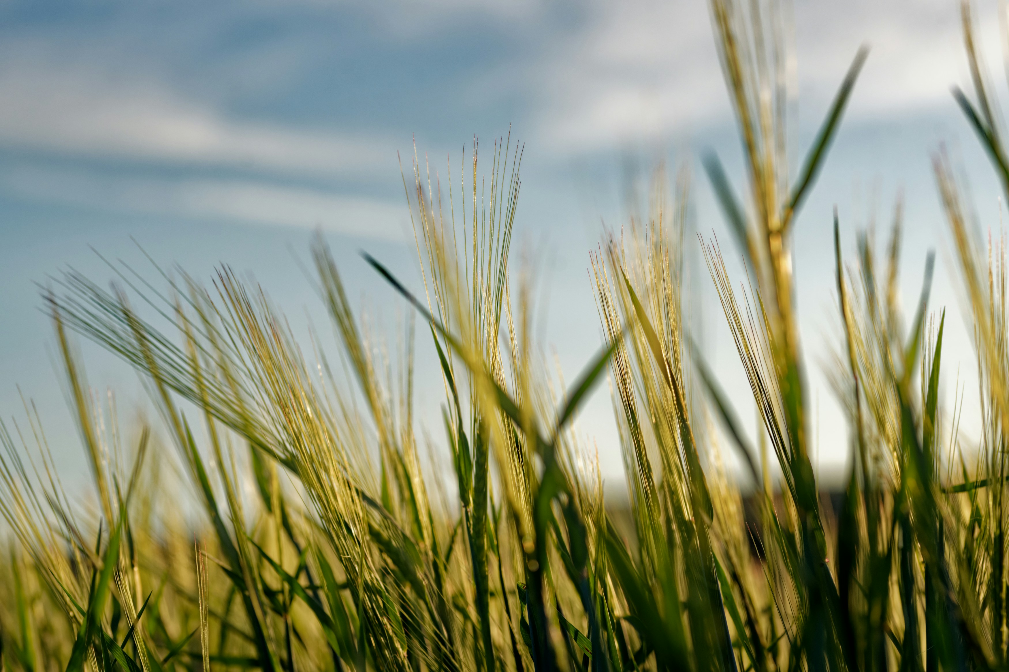 Photo by designbytholen