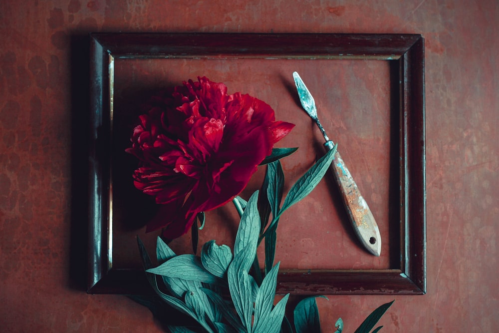 a picture frame with a red flower and a knife