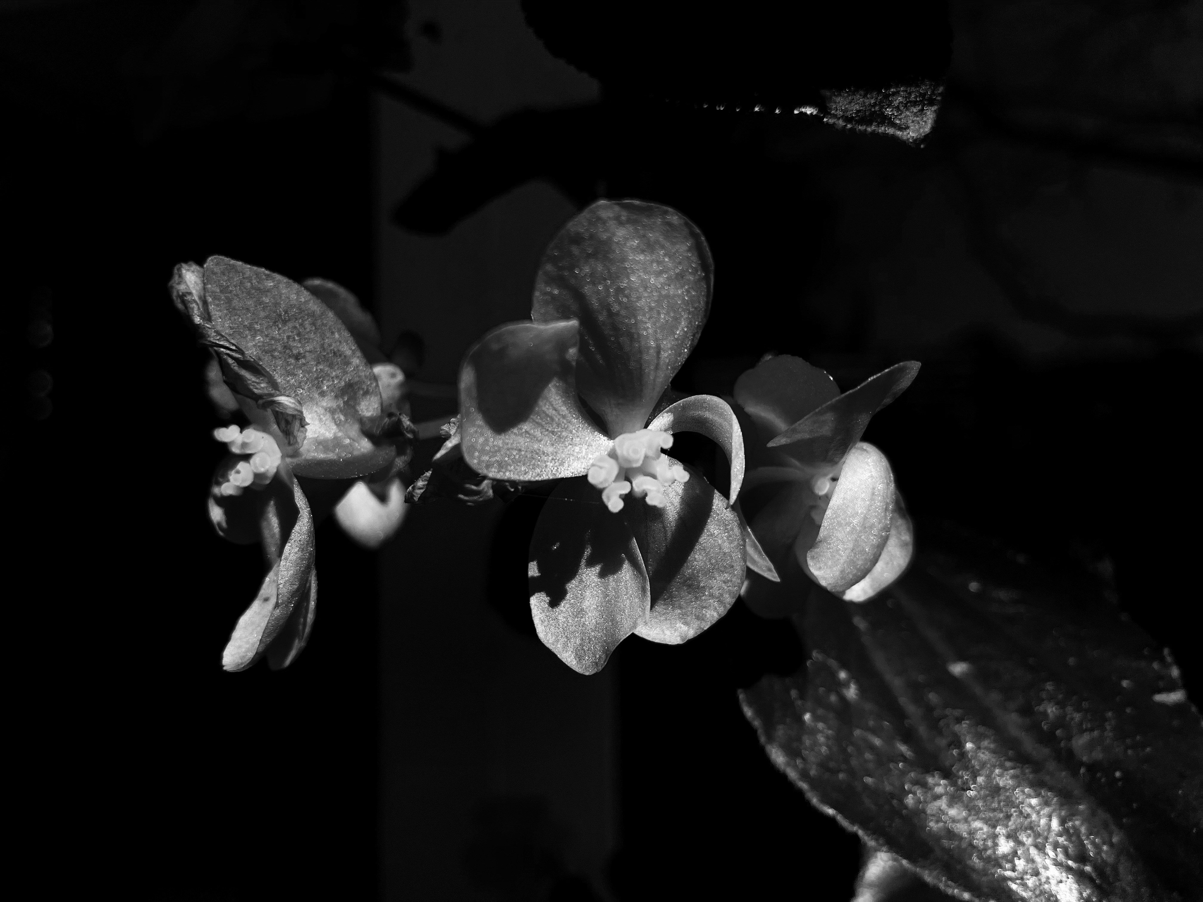 Photo by ls_photos05