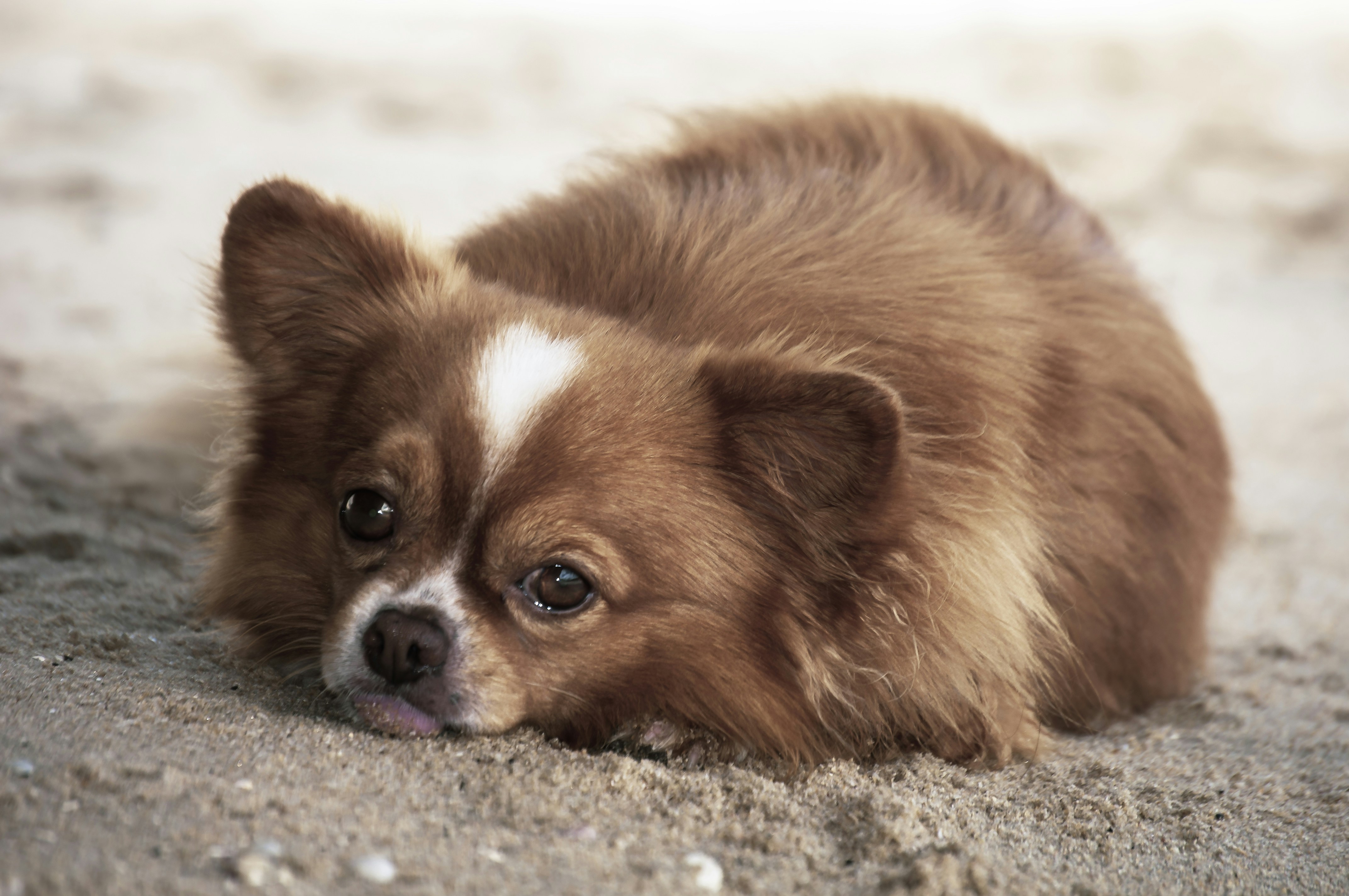 Photo by thom_oxford